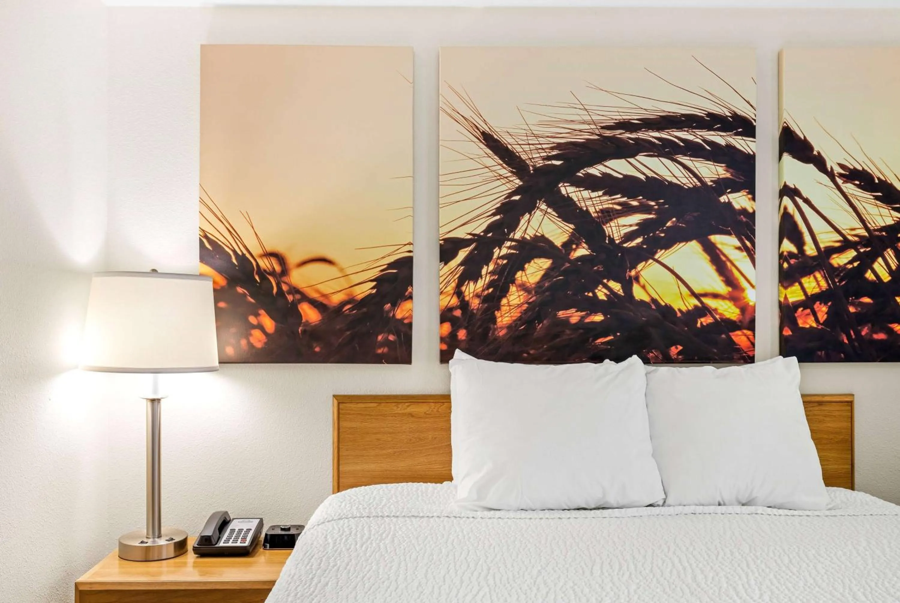 Deluxe Queen Room Disability Access Non Smoking in Days Inn by Wyndham Great Falls