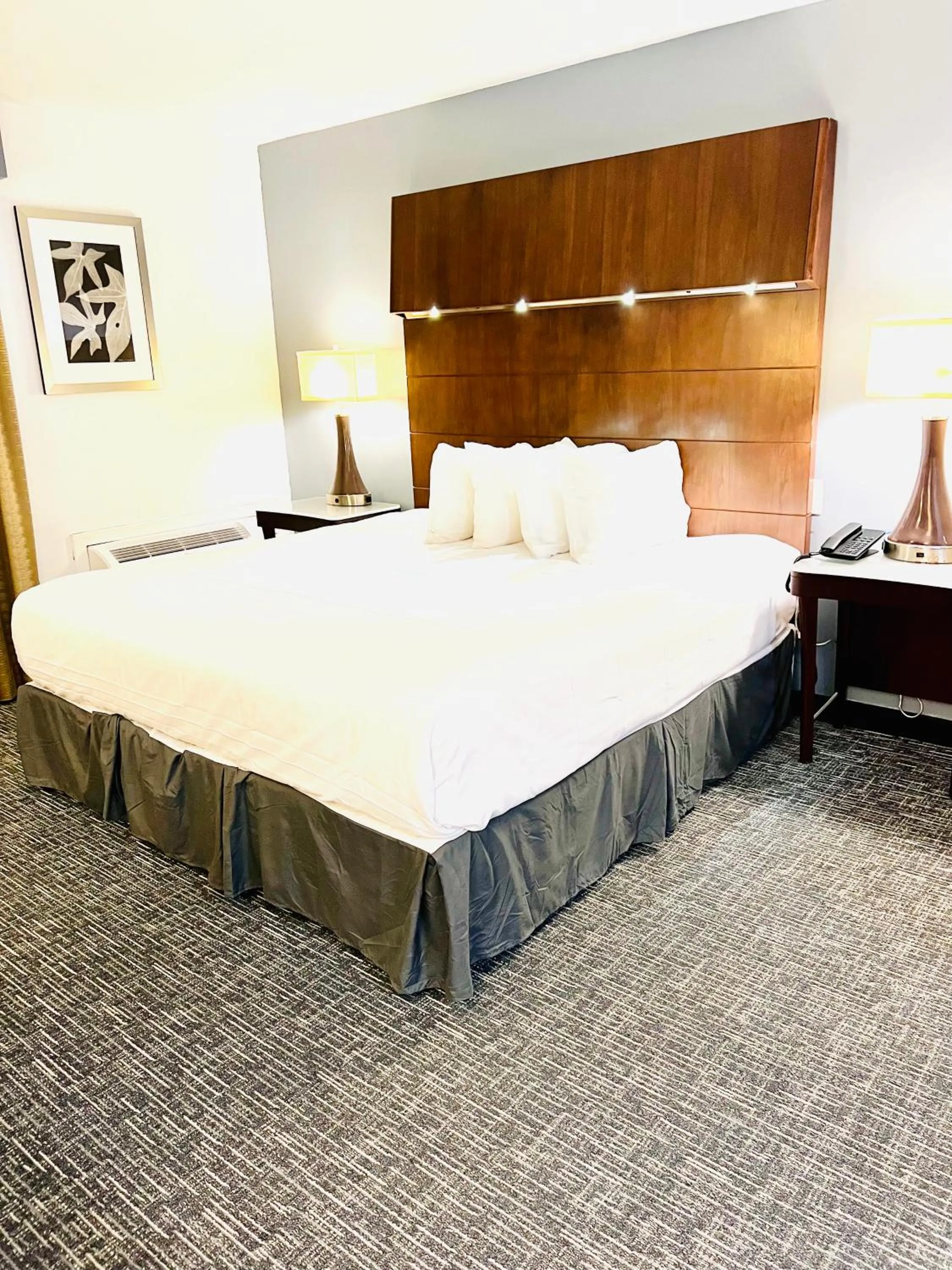 One Bedroom King Suite - Non Smoking  in Quality Inn & Suites Caribou