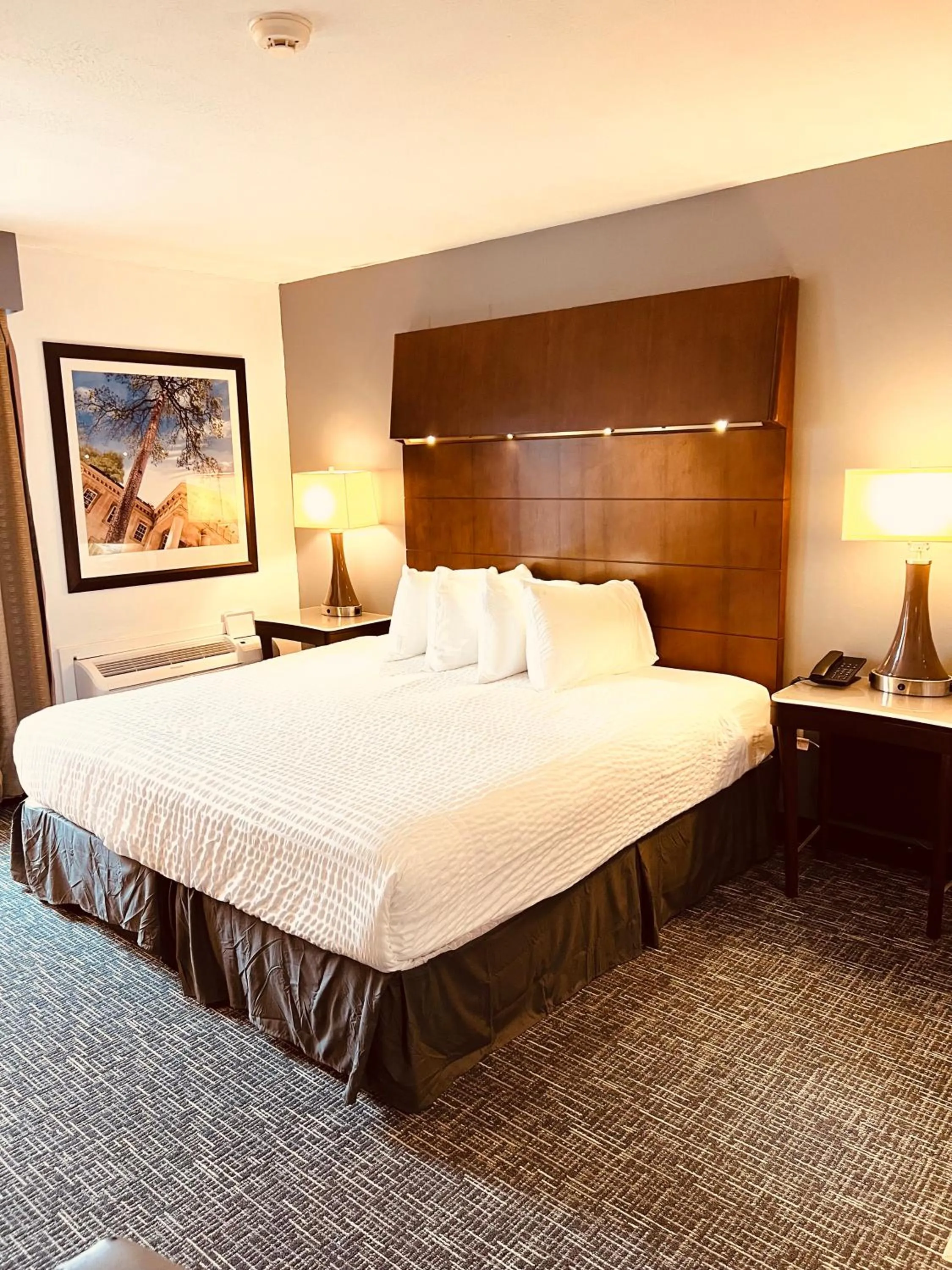 King Room - Non Smoking in Quality Inn & Suites Caribou