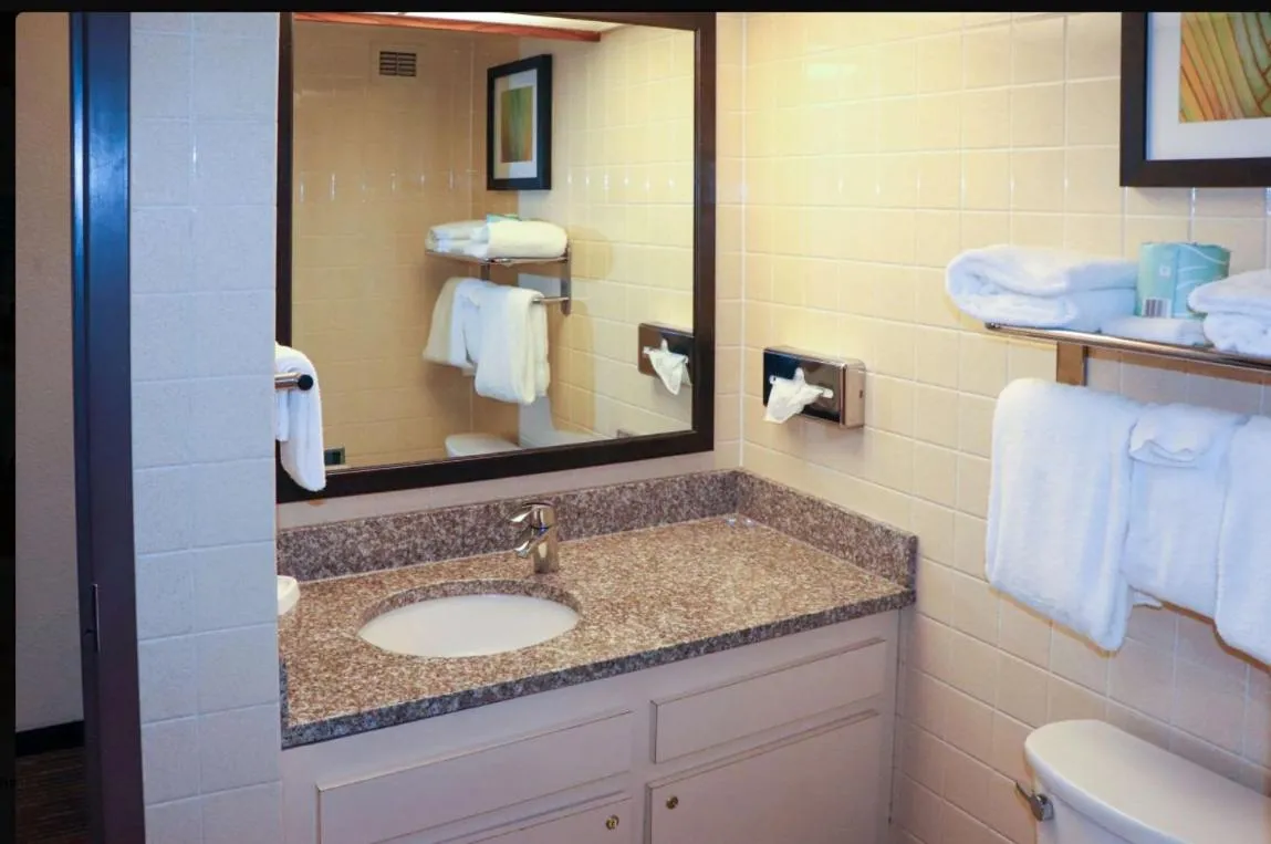 King Room with Tub - Disability Access/Non Smoking in Mustang Inn