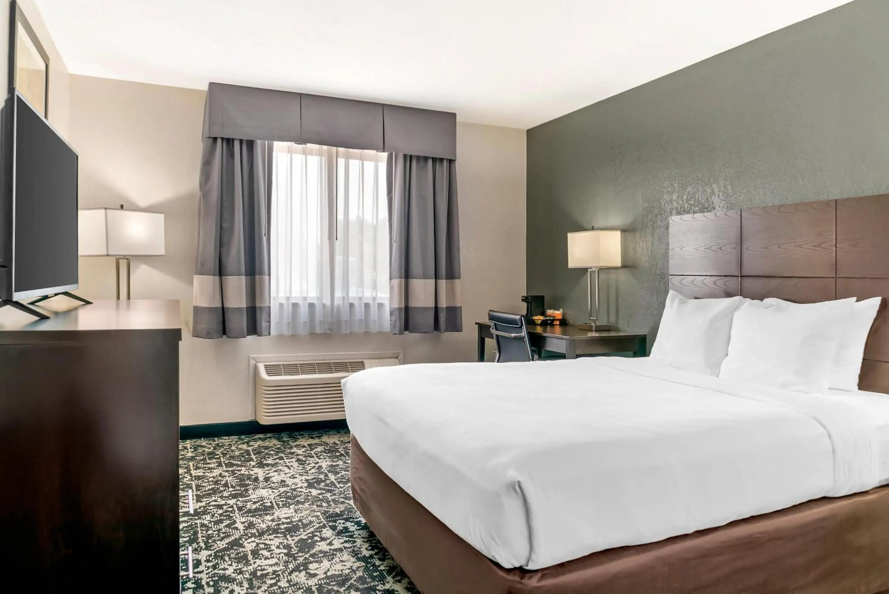 Queen Room - Disability Access/Non-Smoking in Quality Inn Grand Rapids South-Byron Center