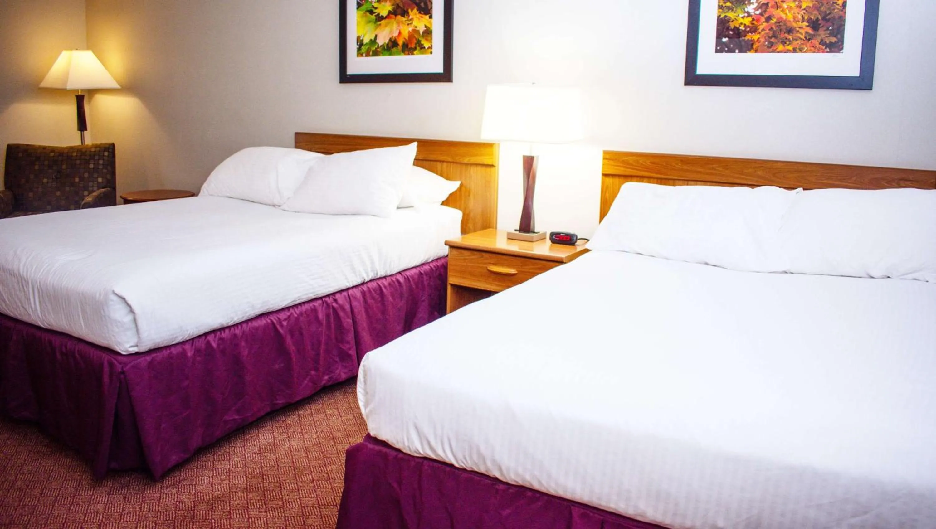 Two Double Beds, Non-Smoking (Non Pet-Friendly) in Magnuson Hotel Country Inn