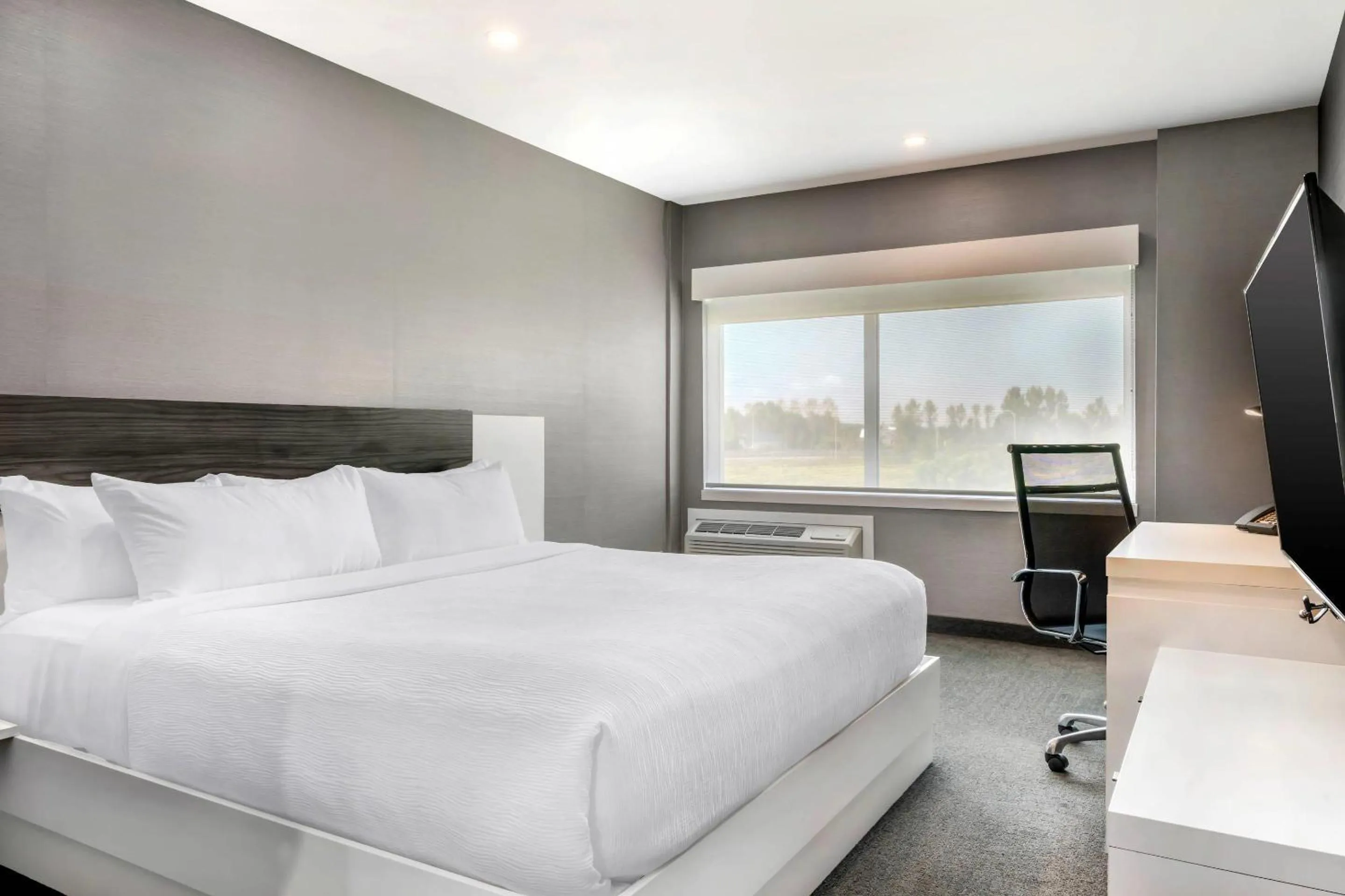 King Suite with Sofa Bed - Non-Smoking in Quality Inn & Suites