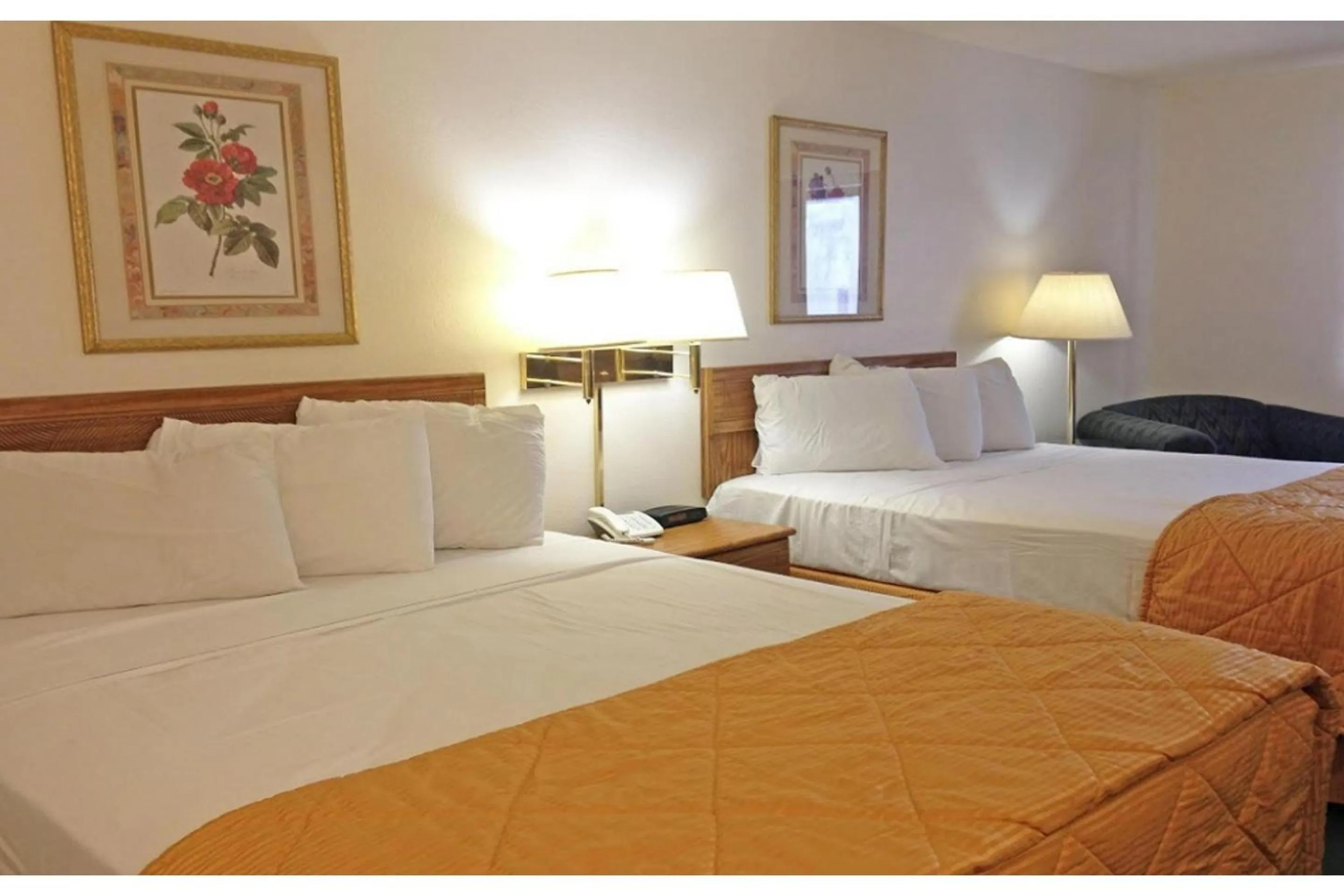 2 Queen Beds Non Smoking in Capital O Amerihost Inn and Suites Mexico Hwy 54 MO