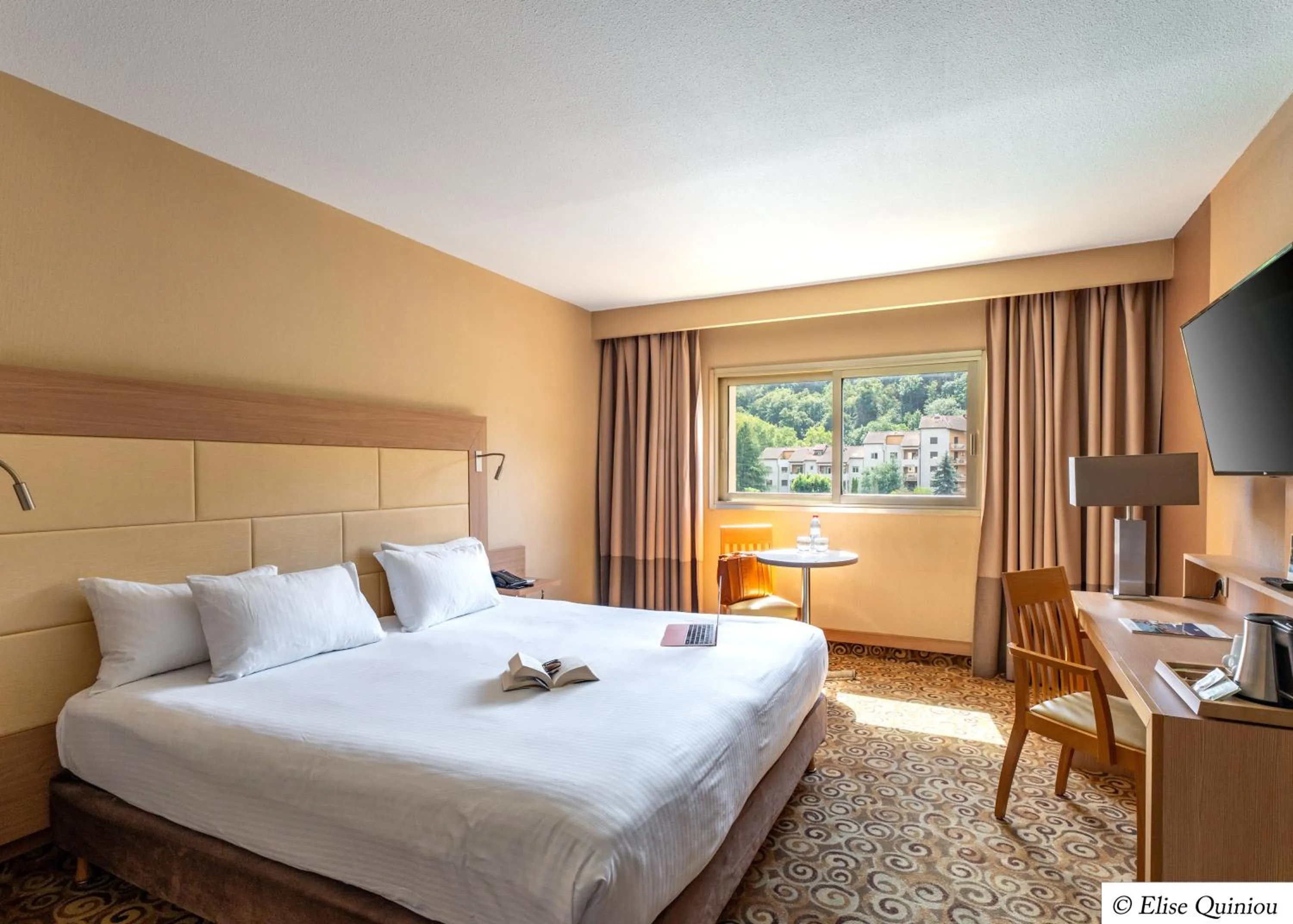 Prestige Double Room - Spa and Pool Access Included in Hôtel Lyon Métropole & Spa