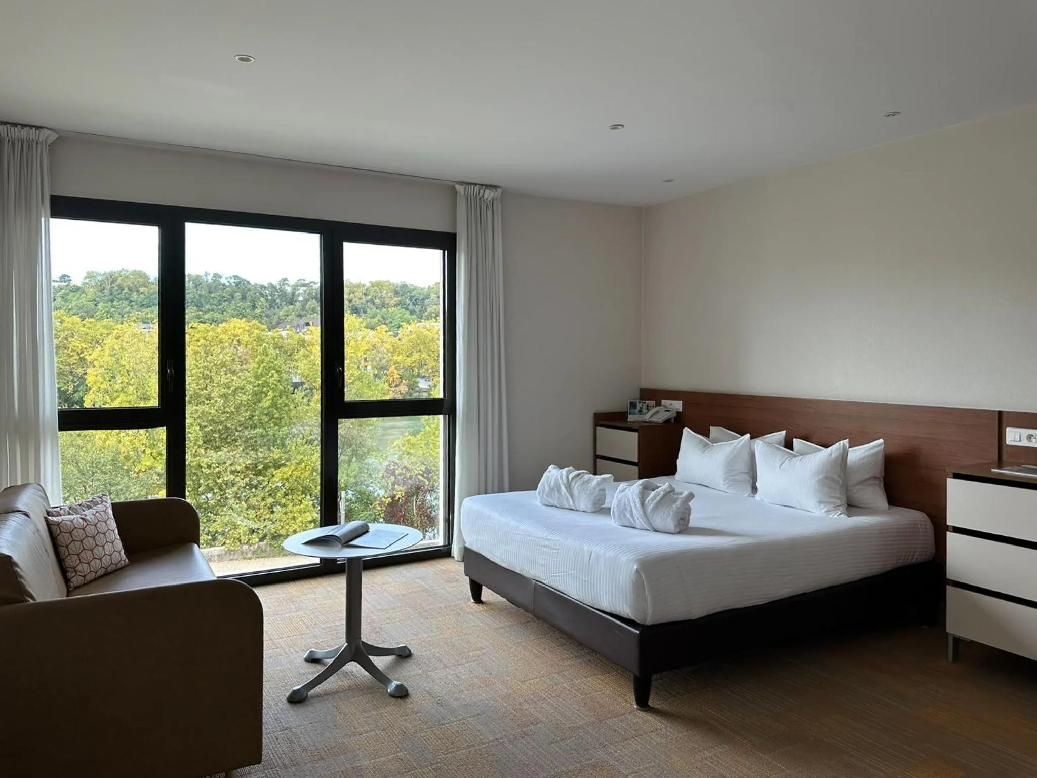 Room Studio - Spa and Pool Access Included  in Hôtel Lyon Métropole & Spa