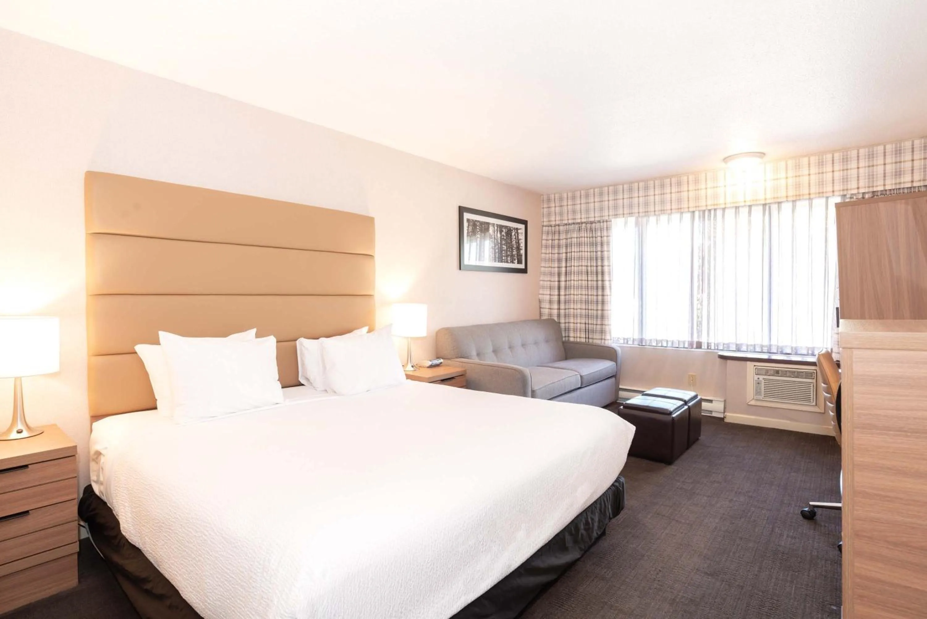 Standard Room, 1 King Bed, Sofa Bed in Sandman Hotel Terrace