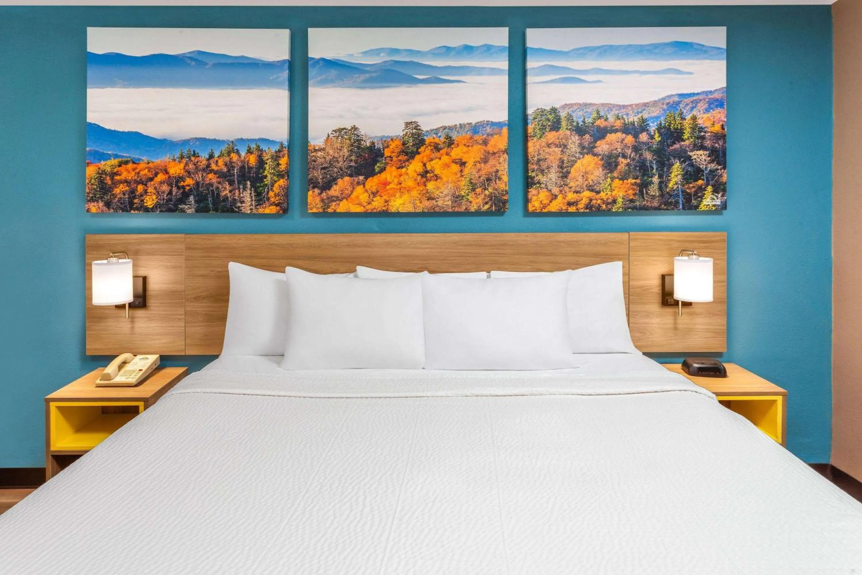 Standard King Room - Smoking in Days Inn by Wyndham Shelby