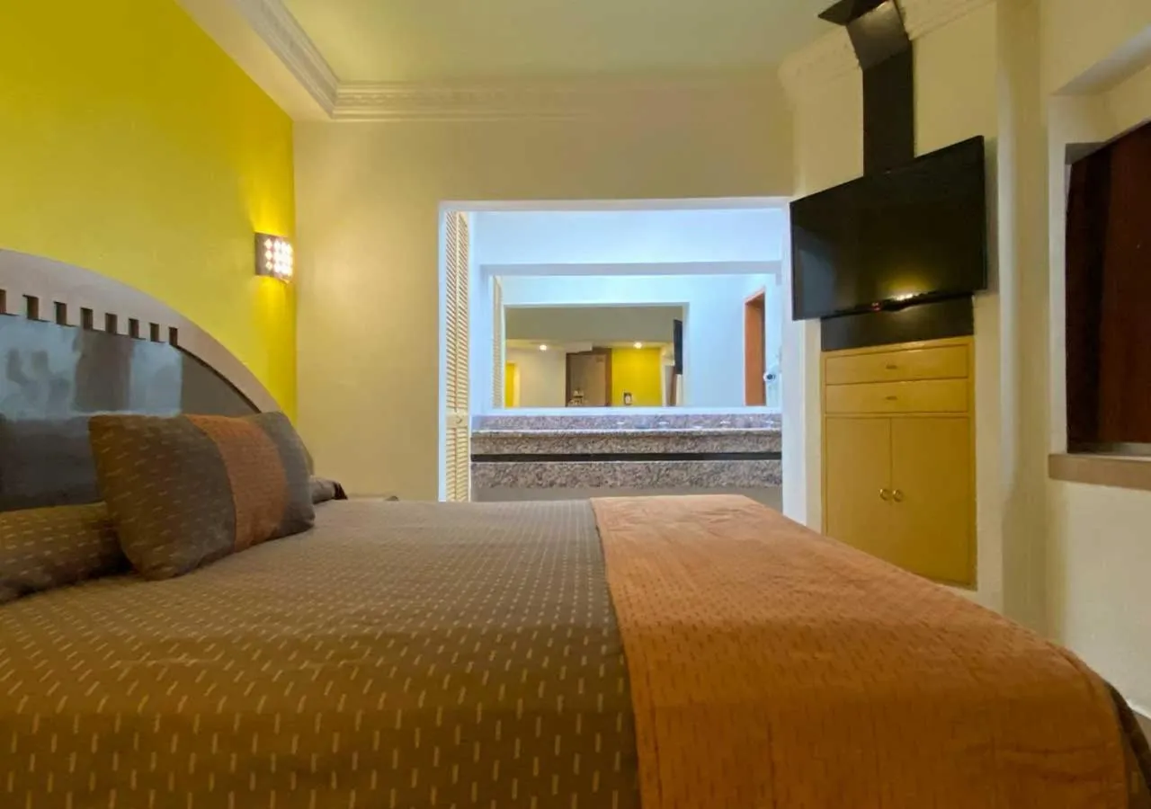 Executive King Room in Hotel Villa de Madrid