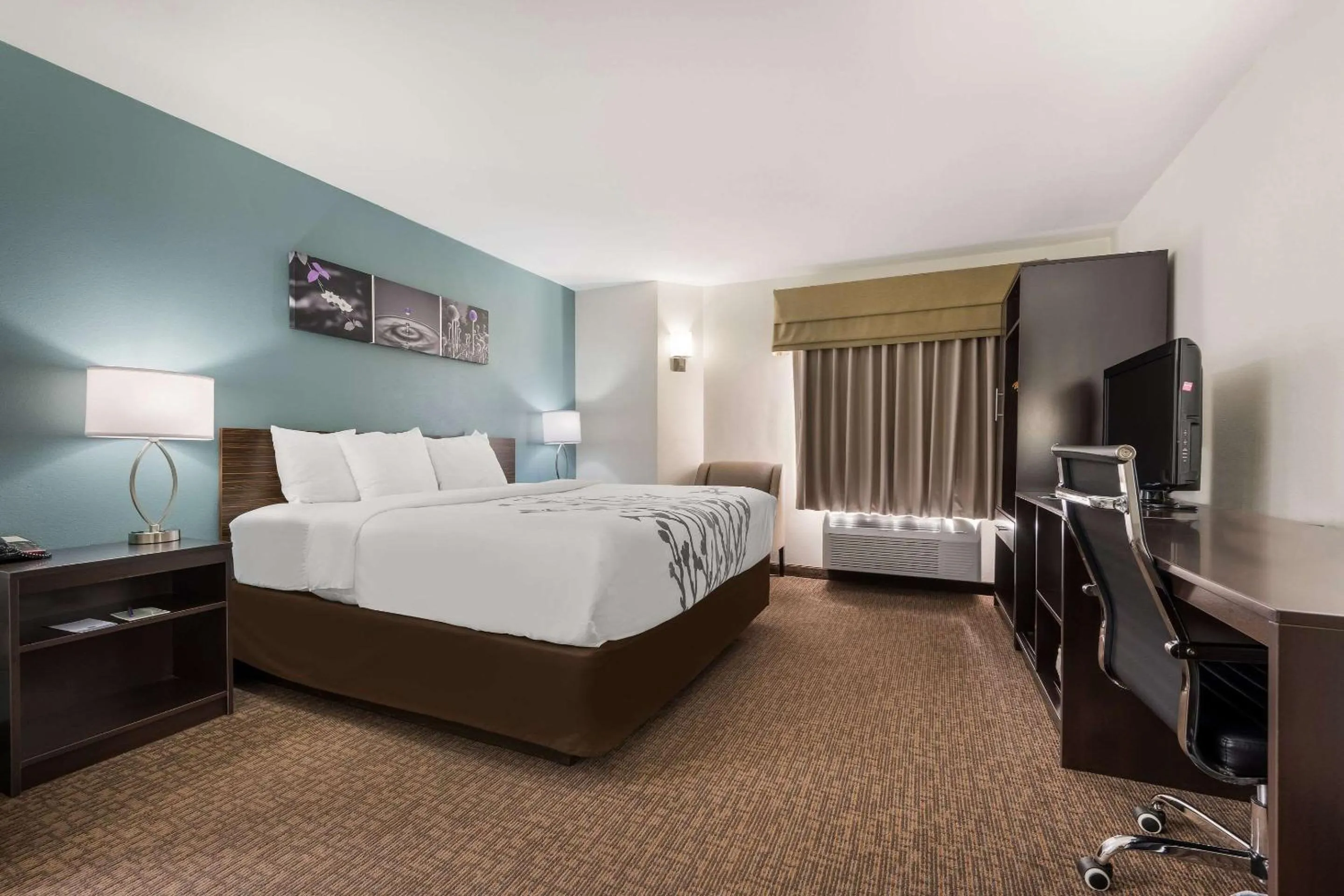 King Room - Non-Smoking in Sleep Inn & Suites Cullman I-65 exit 310