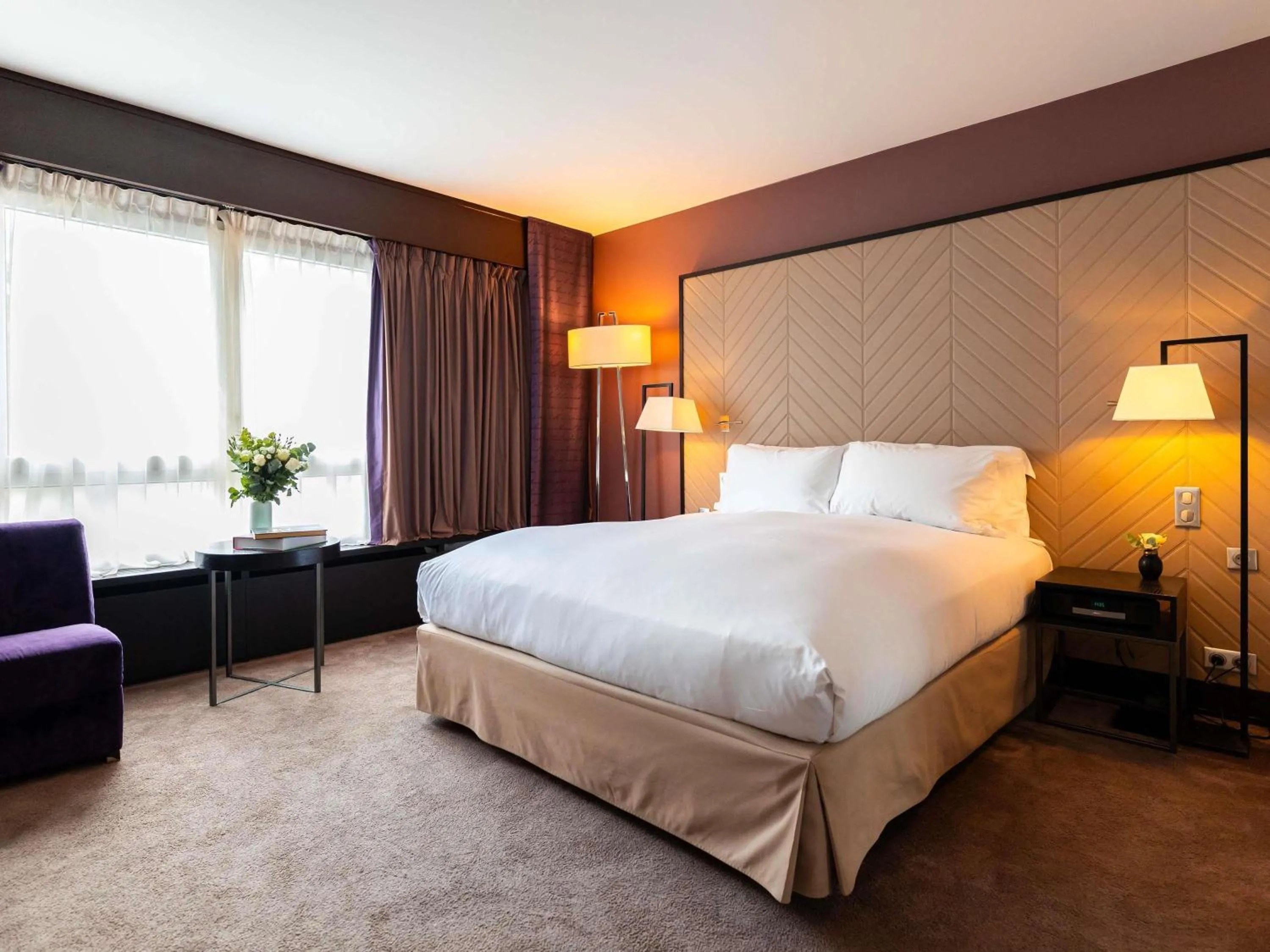 Accessible Luxury Room with One King Bed with View in Sofitel Strasbourg Grande Ile