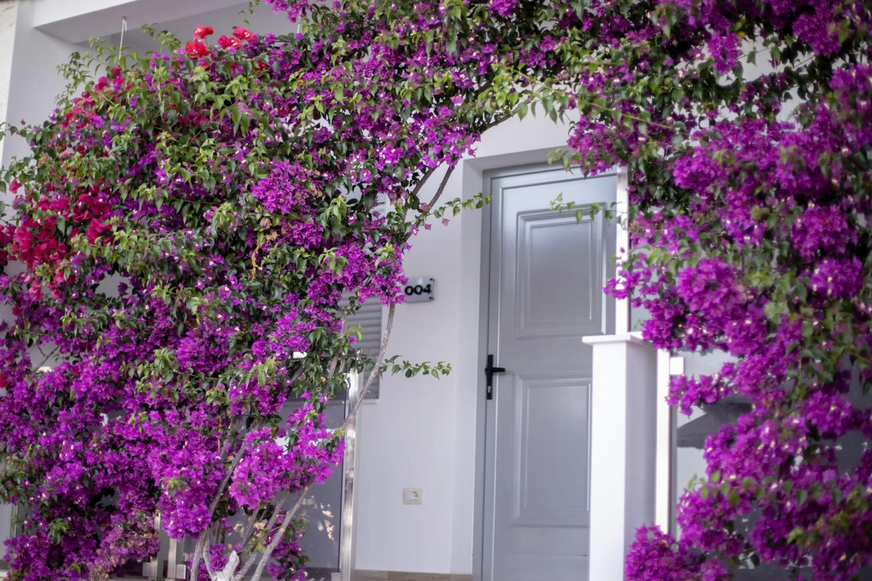 Double or Twin Room with Sea View - Ground Floor in Hotel Jaroal