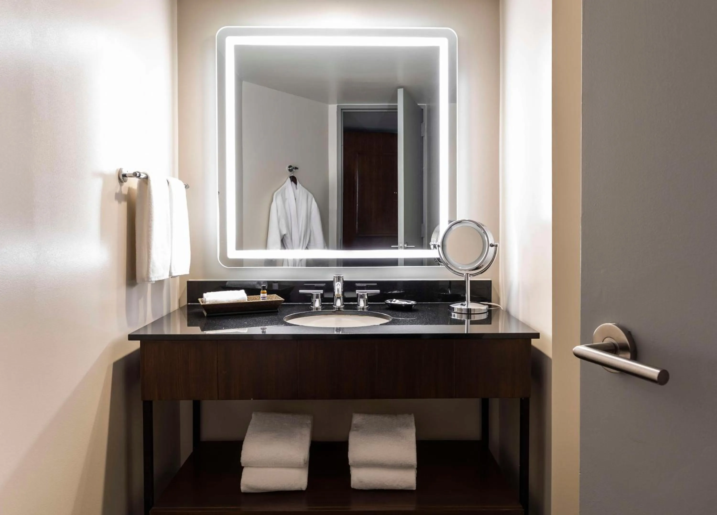 Suite in Hyatt Regency Houston Downtown