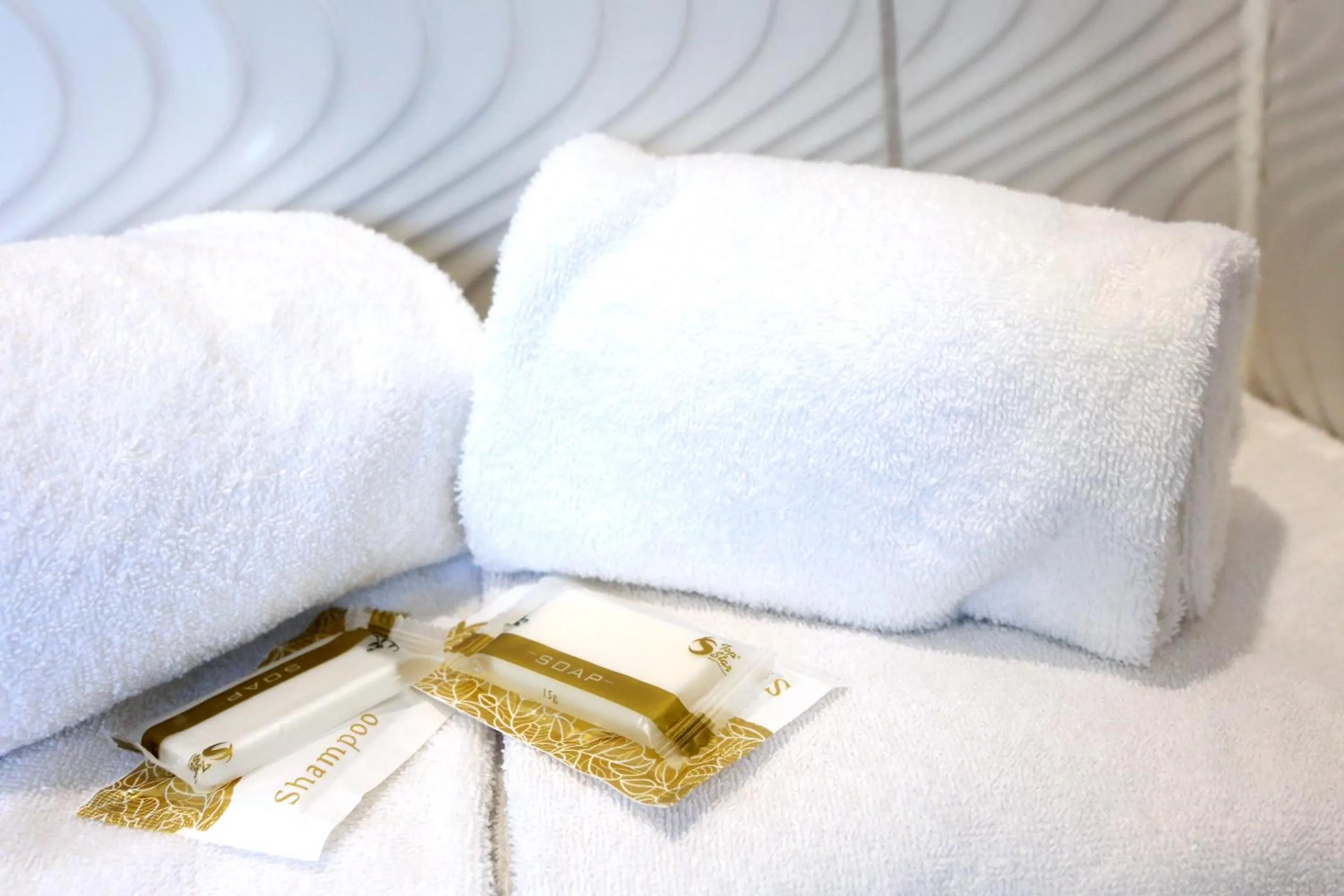 Economy Single Room in Hotel Phenix