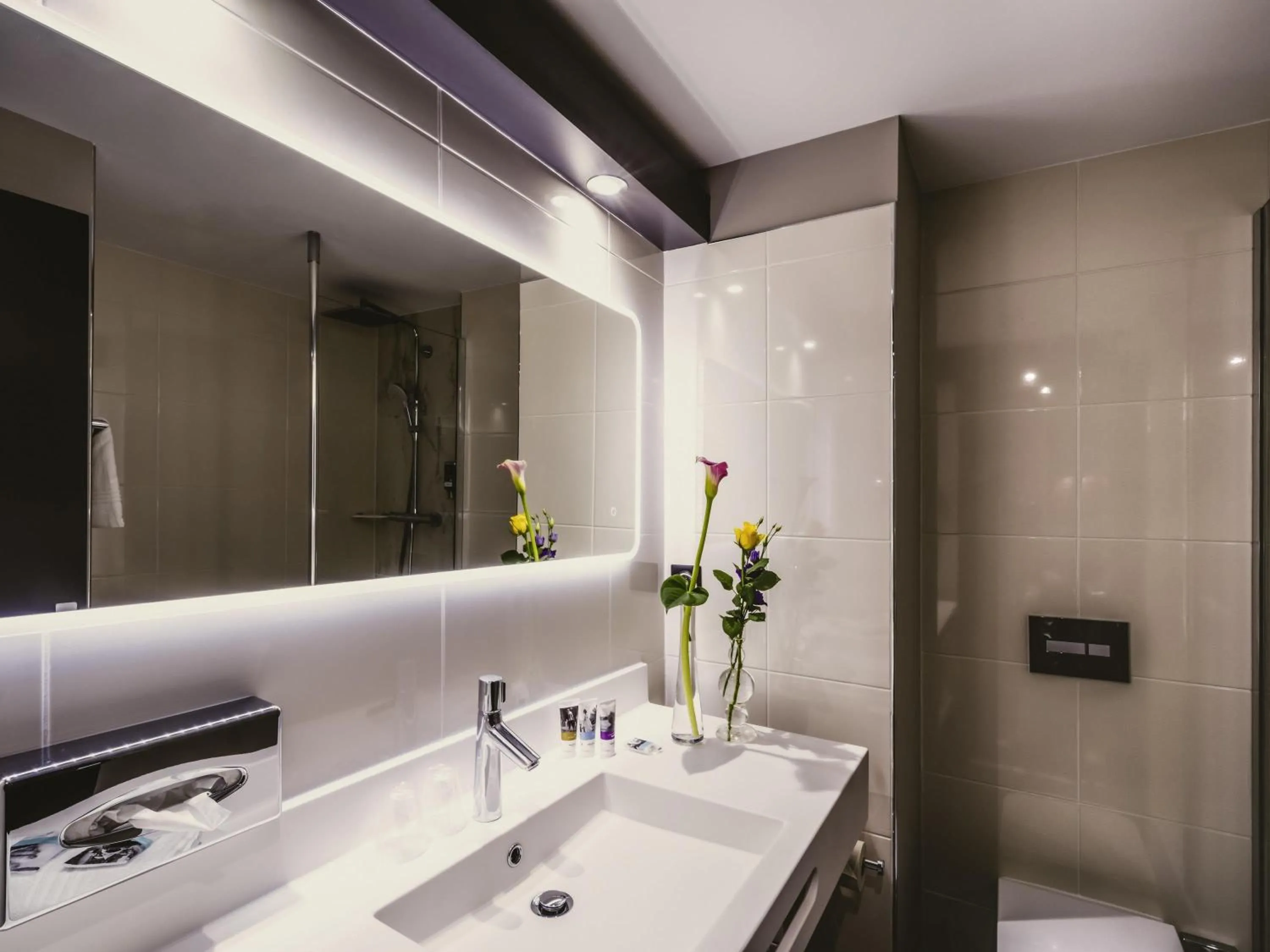 Standard Double Room in Mercure Pau Palais des Sports