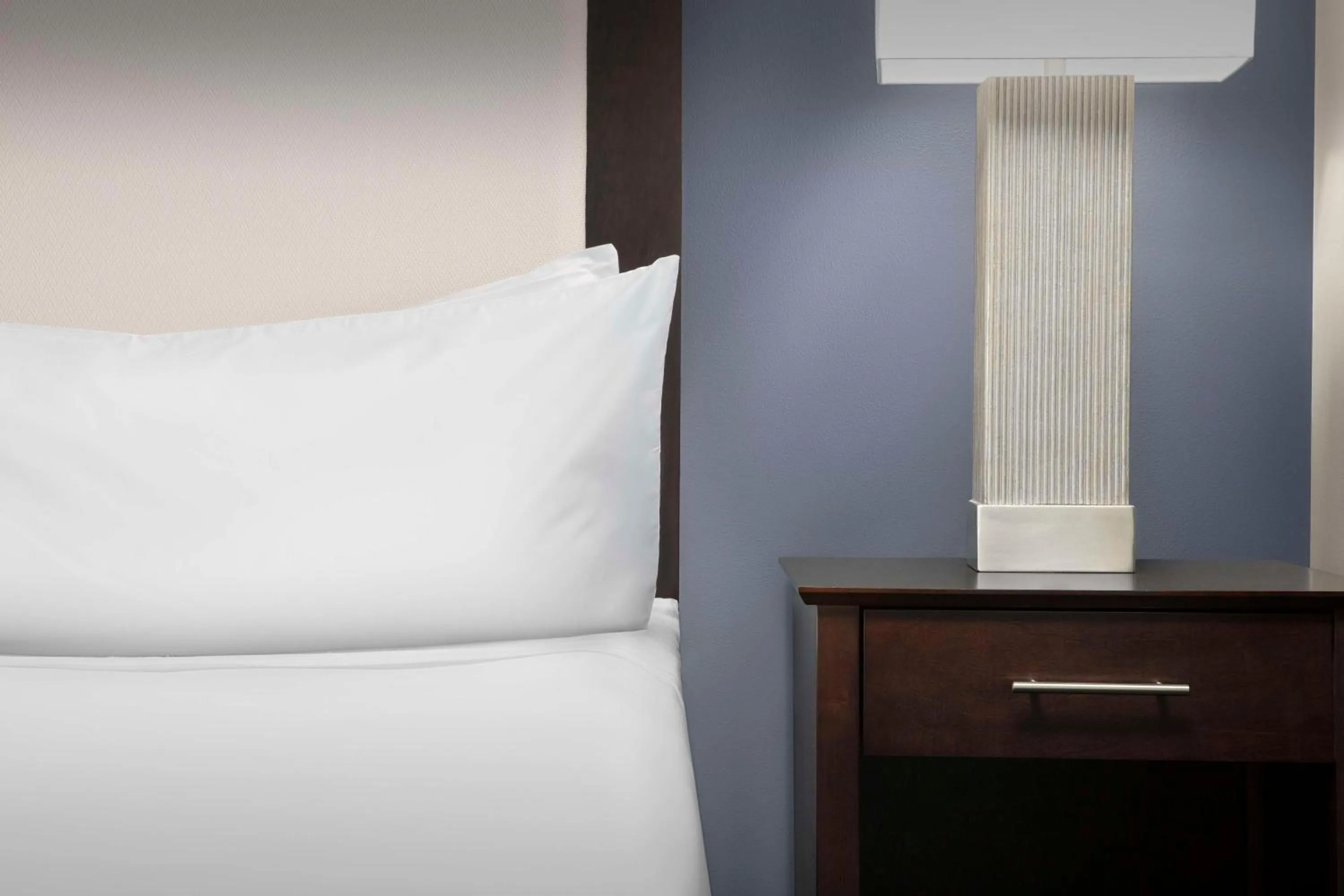 King Studio Suite - Non-Smoking in Homewood Suites Dallas Downtown