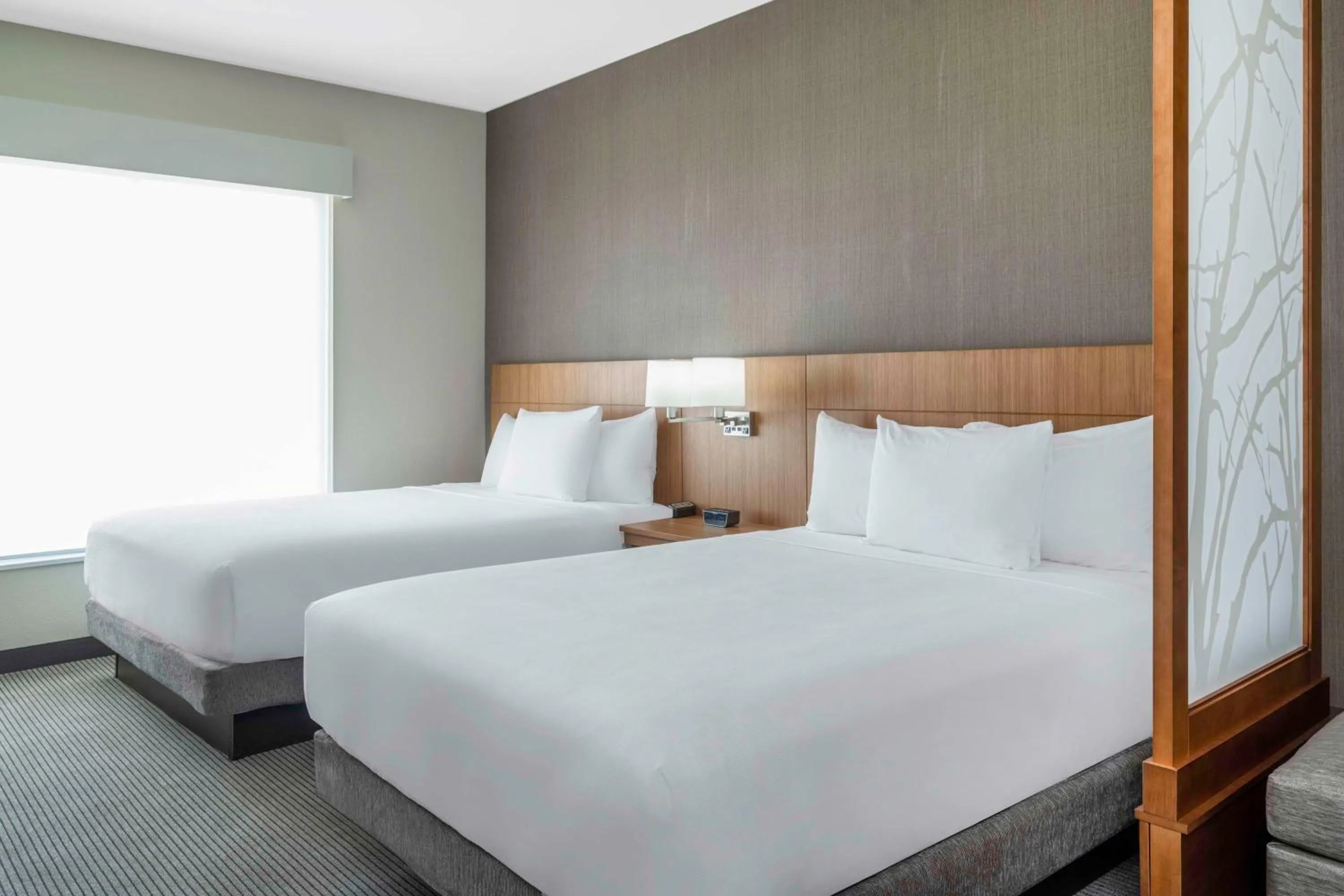 Queen Room with Sofa Bed and Accessible Shower - Disability Access in Hyatt Place Fort Worth-Alliance Town Center