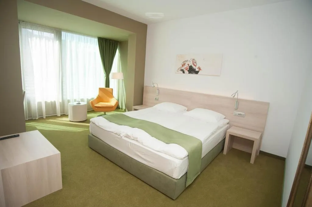 Superior Double Room - single occupancy in Hotel Armatti