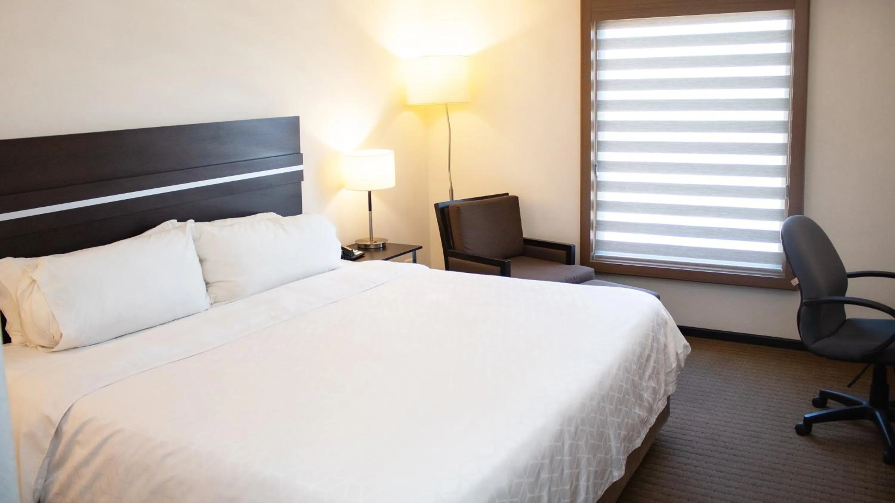 Standard King Room in Holiday Inn Express Guaymas by IHG