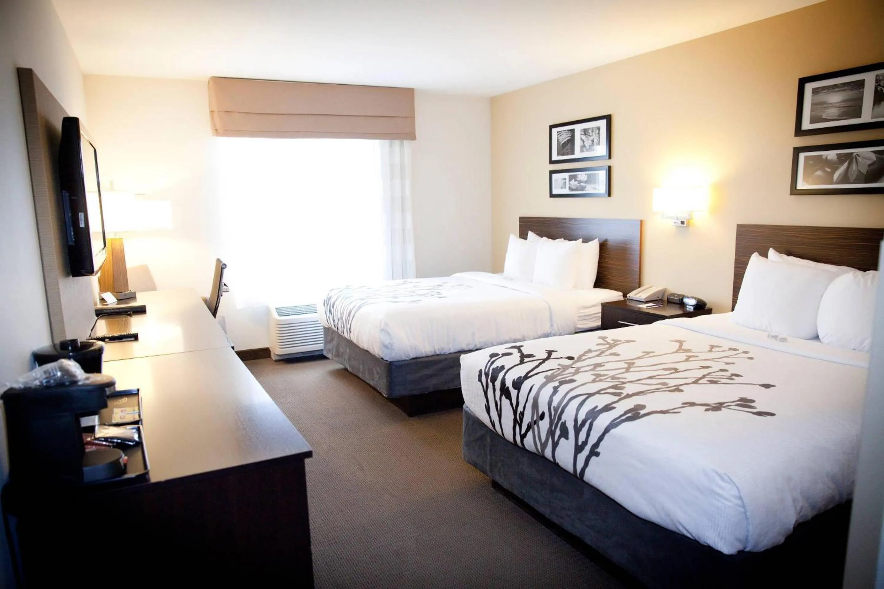 Queen Room with Two Queen Beds - Accessible/Non-Smoking  in Sleep Inn & Suites Moundsville - Wheeling