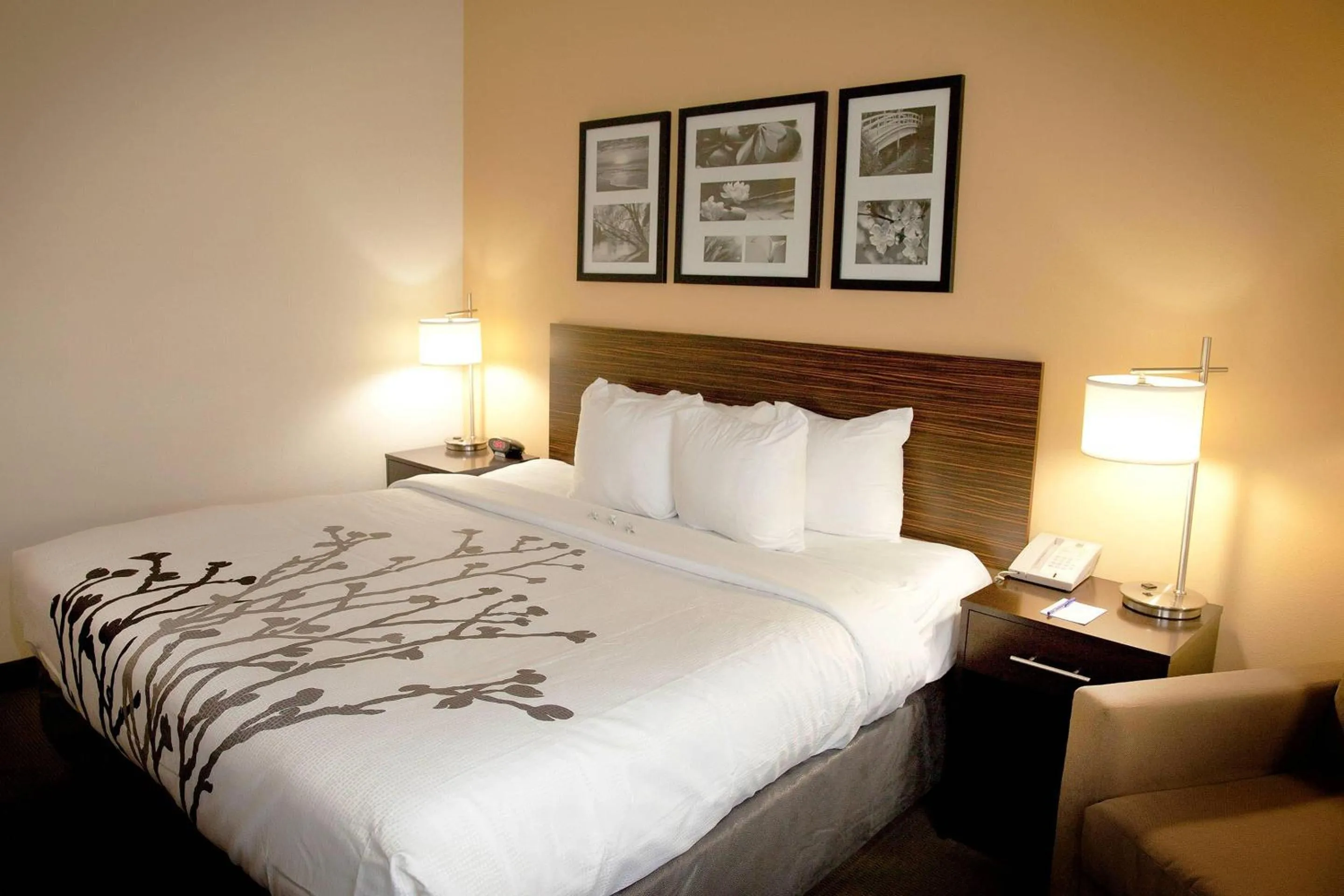King Room - Non-Smoking in Sleep Inn & Suites Moundsville - Wheeling
