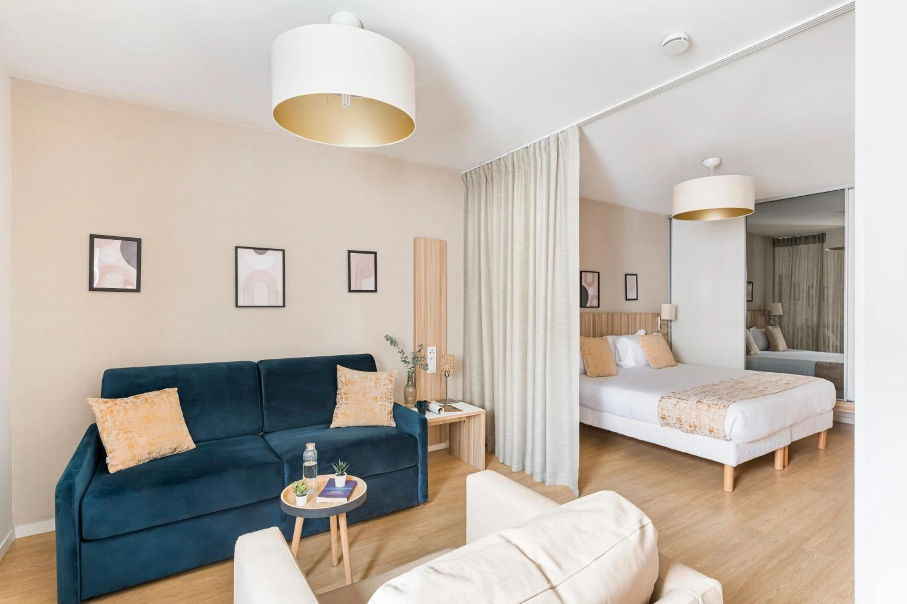 Large Studio with Sofa Bed in Appart hôtel Q7 Lodge Lyon 7