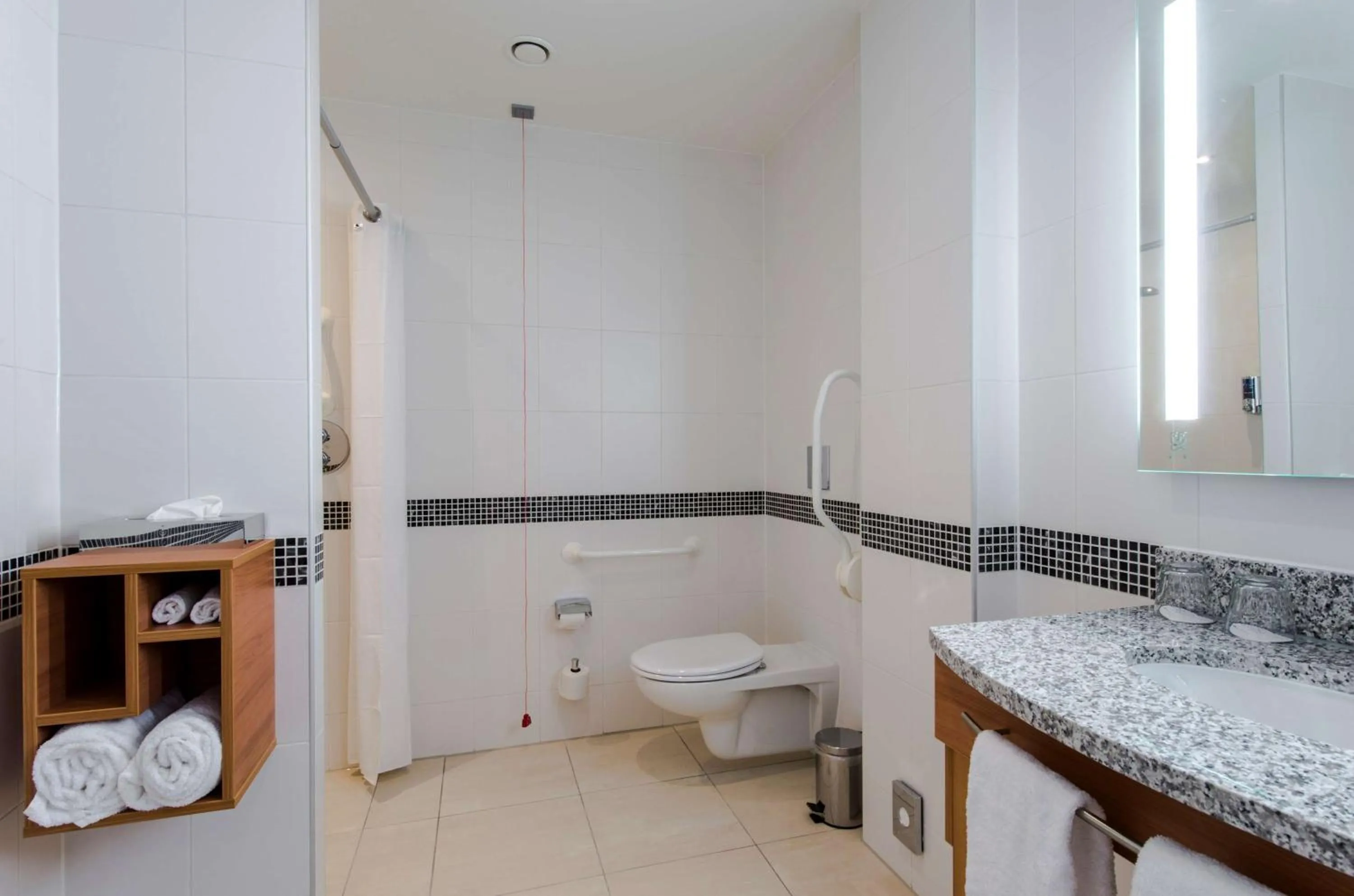 Queen Room - Mobility Access in Hampton By Hilton Amsterdam Arena Boulevard