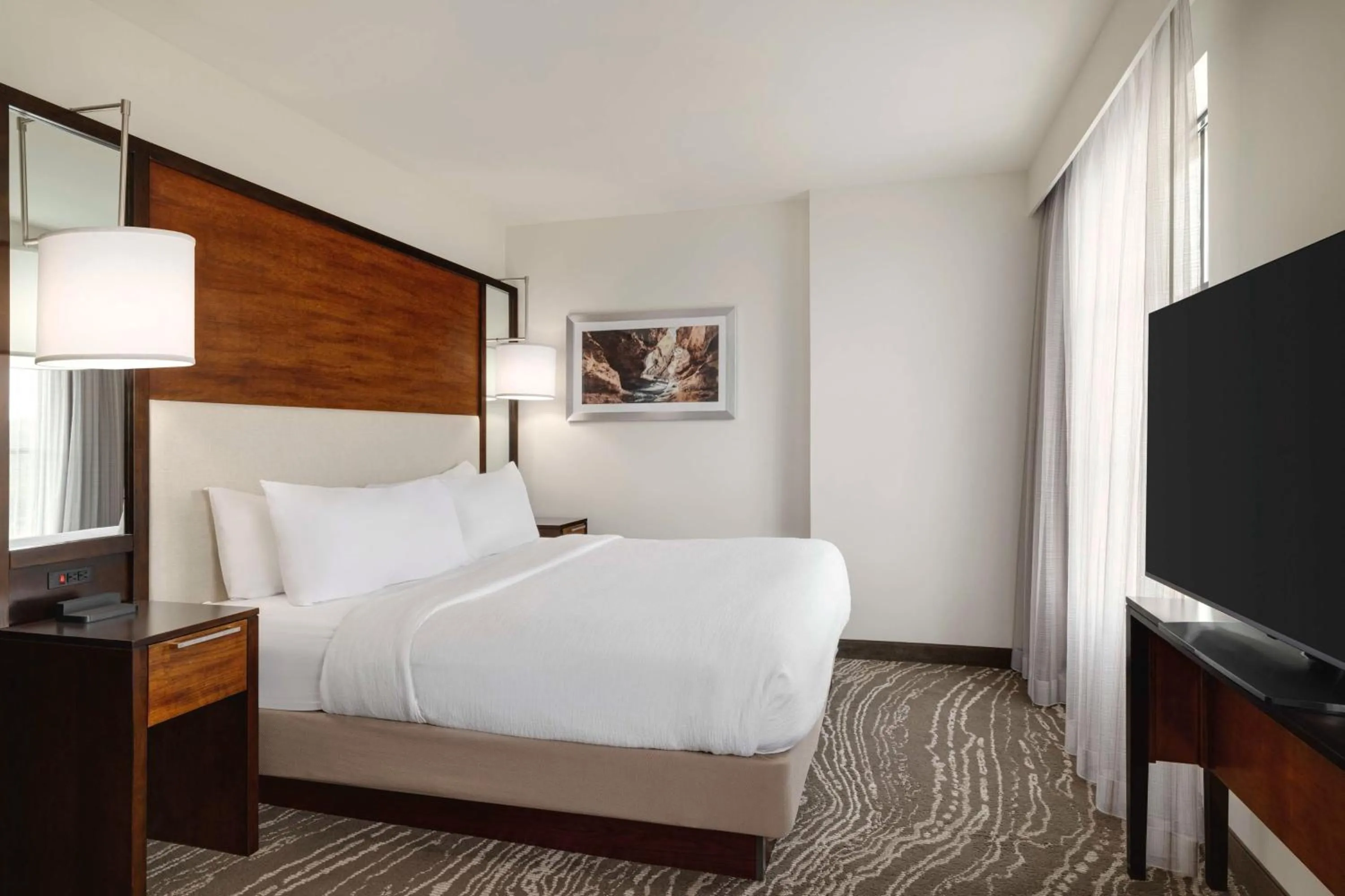 King Studio - Hearing Accessible  in Embassy Suites Chattanooga Hamilton Place