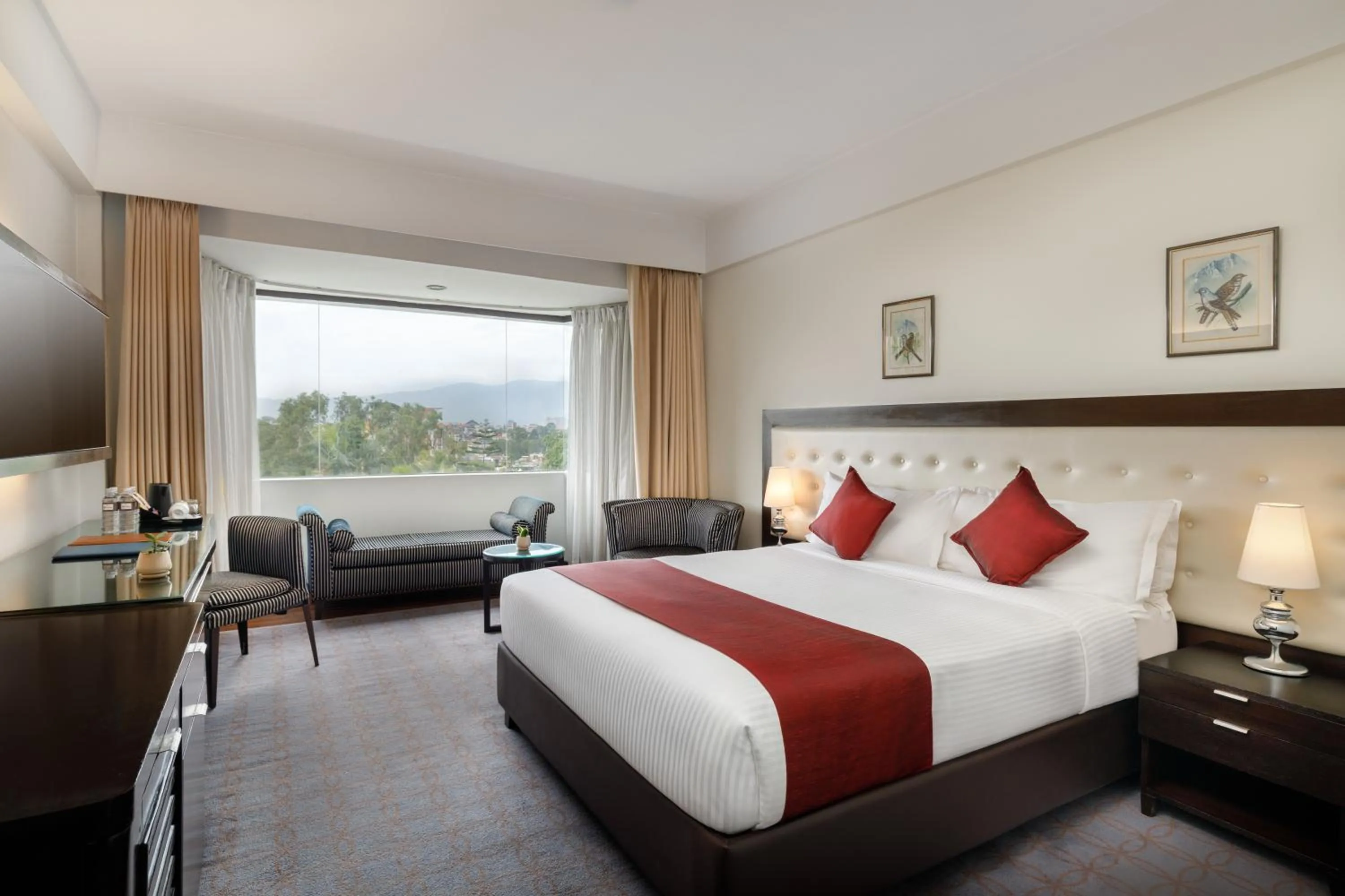 Deluxe Double or Twin Room - single occupancy - Free Airport Pick up and Drop in Hotel Himalaya