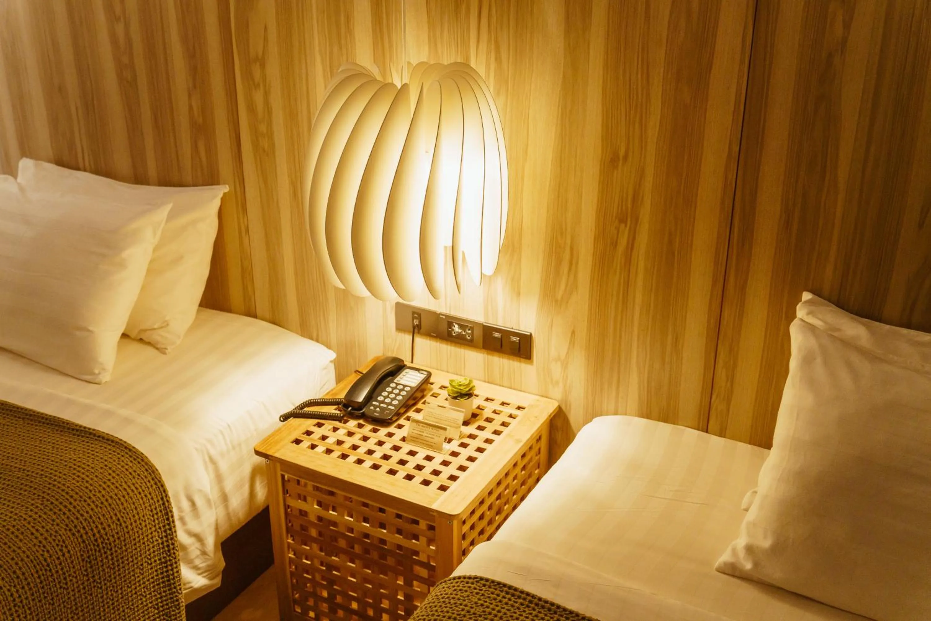 Deluxe Twin Room in The Brown Hotel