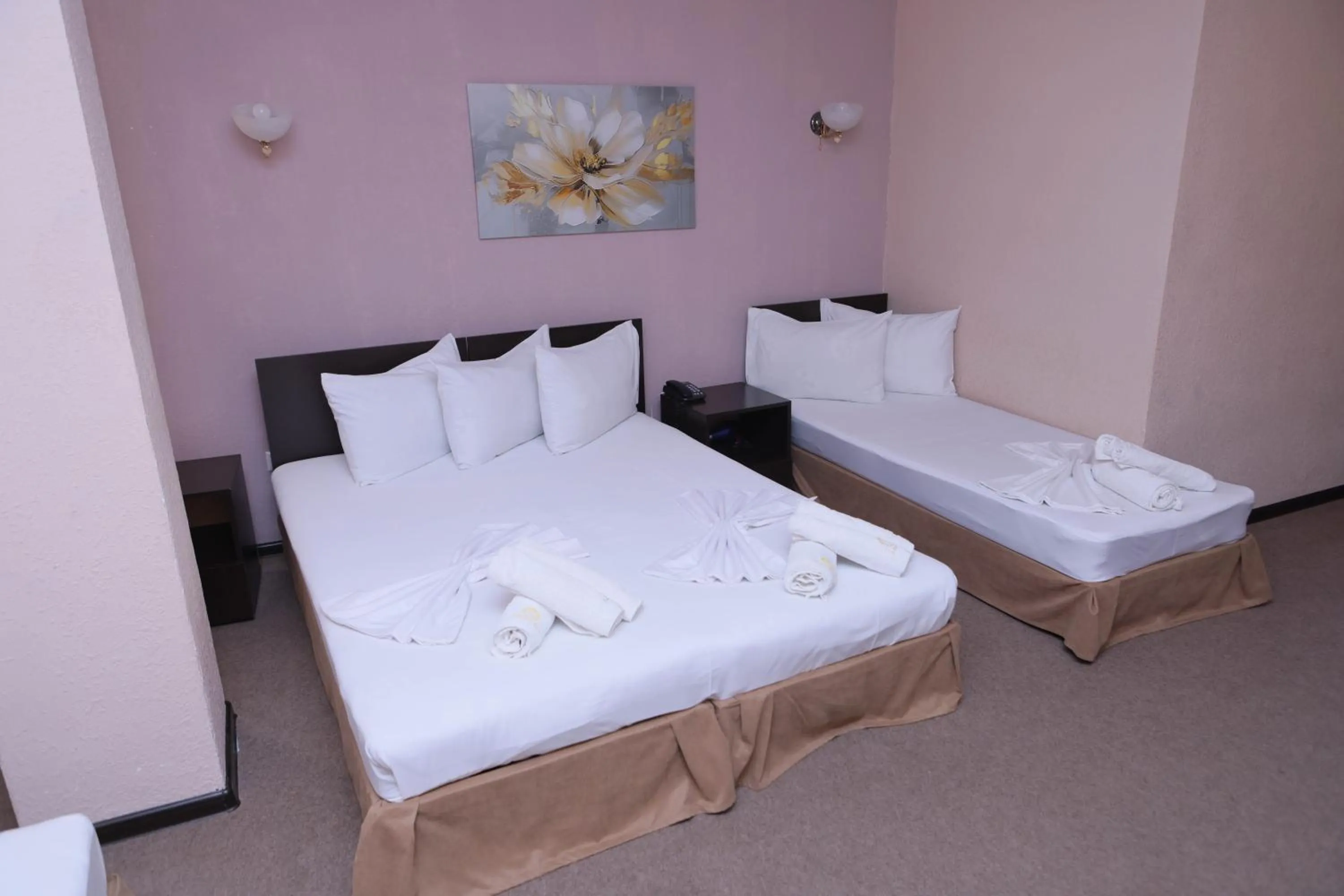 Triple Room - single occupancy in Richmind Hotel