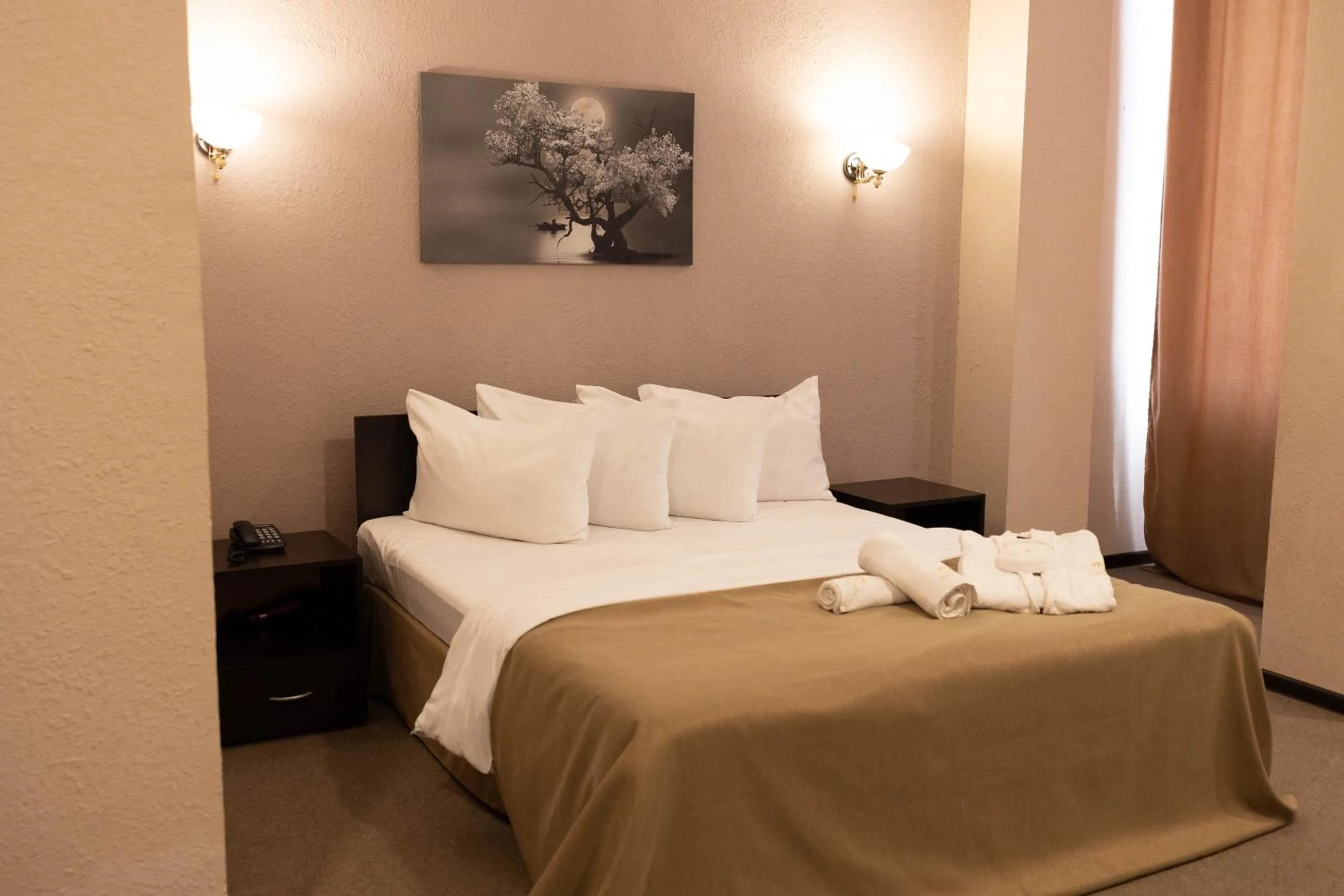 Small Single Room in Richmind Hotel