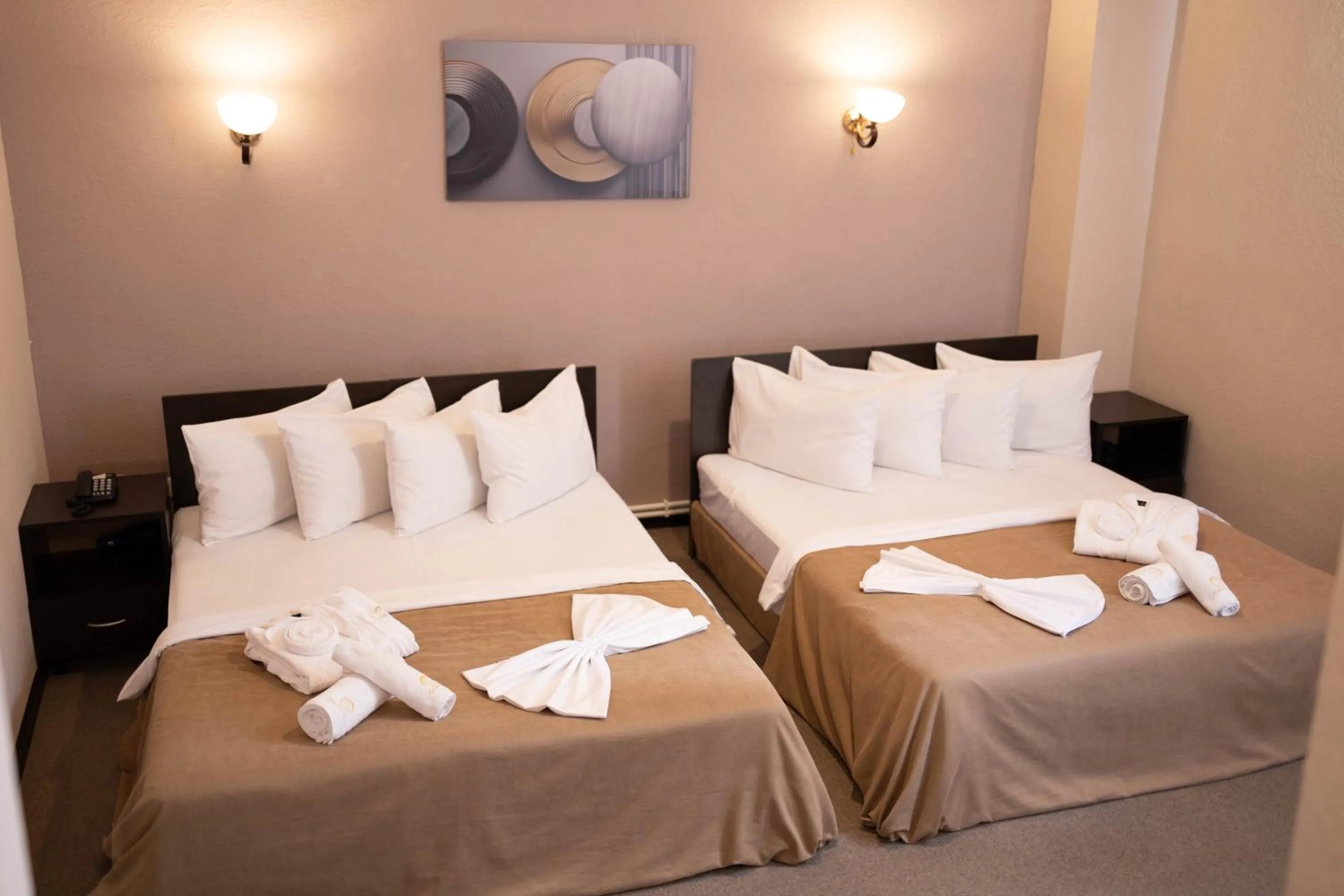 Large Double or Twin Room - single occupancy in Richmind Hotel