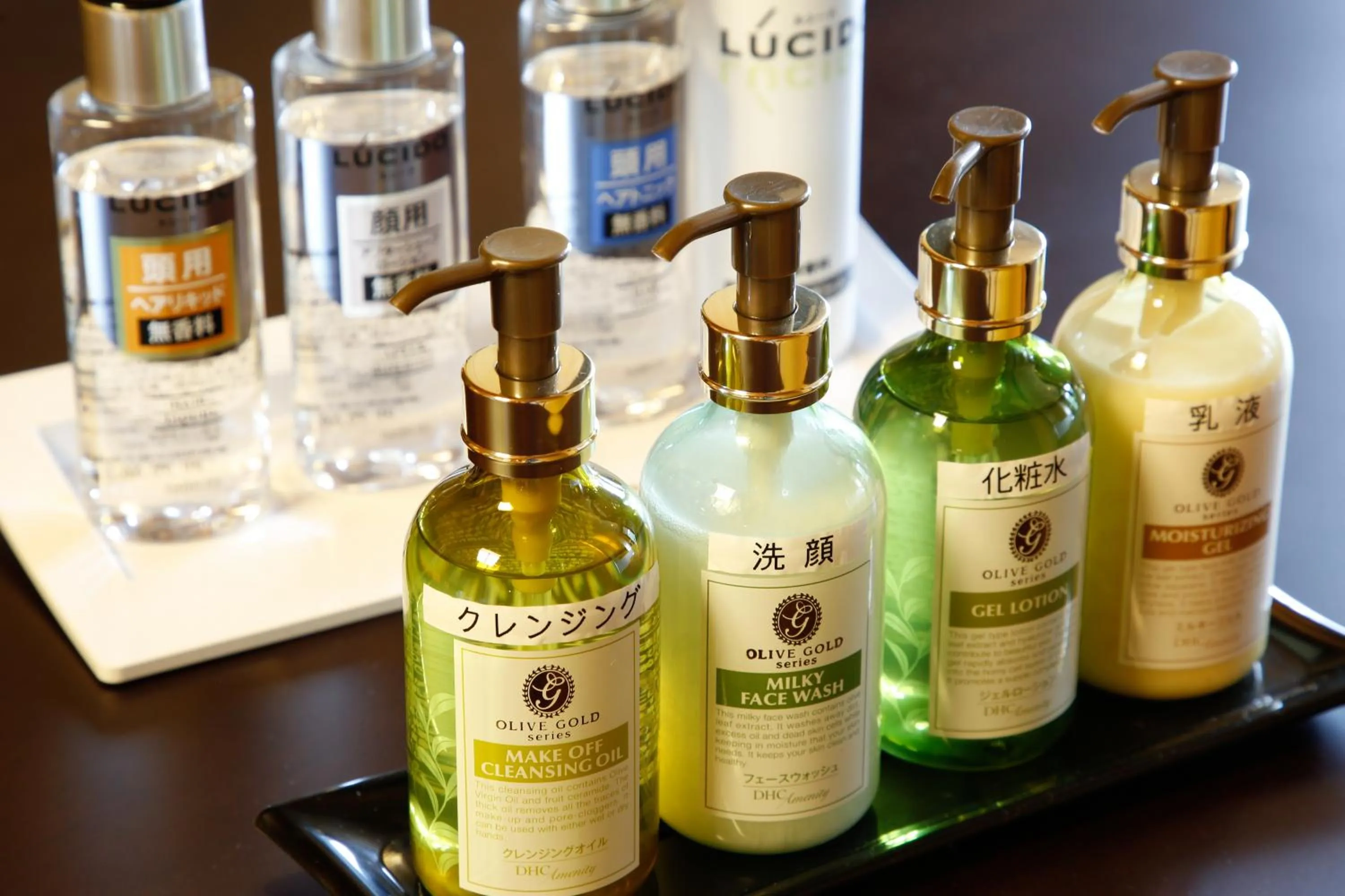 Family Room with Private Bathroom - single occupancy in Yamanaka Onsen Hanatsubaki