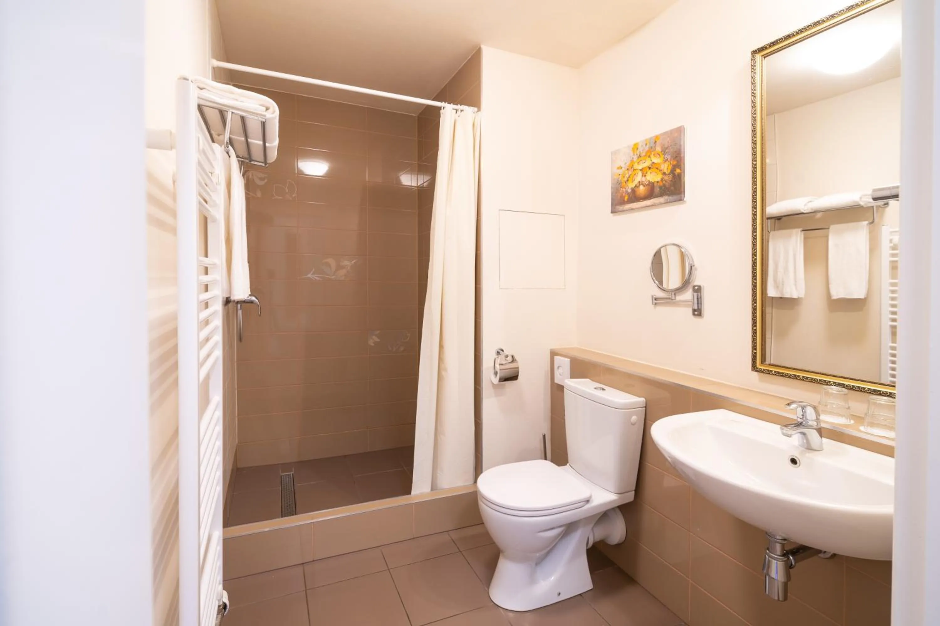 Classic Double or Twin Room in Spa Hotel Vita