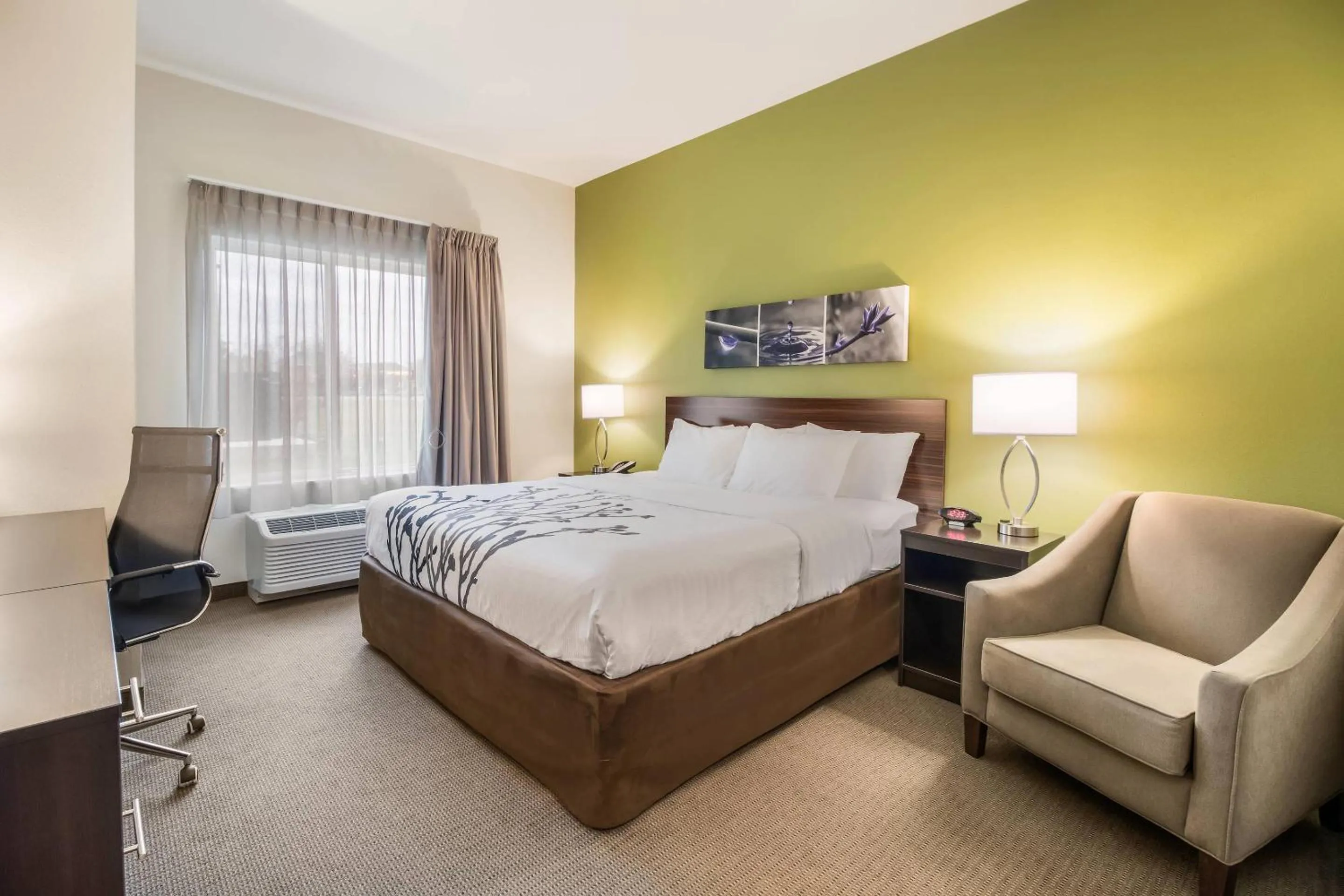 King Room - Non-Smoking in Sleep Inn at Discovery Park of America