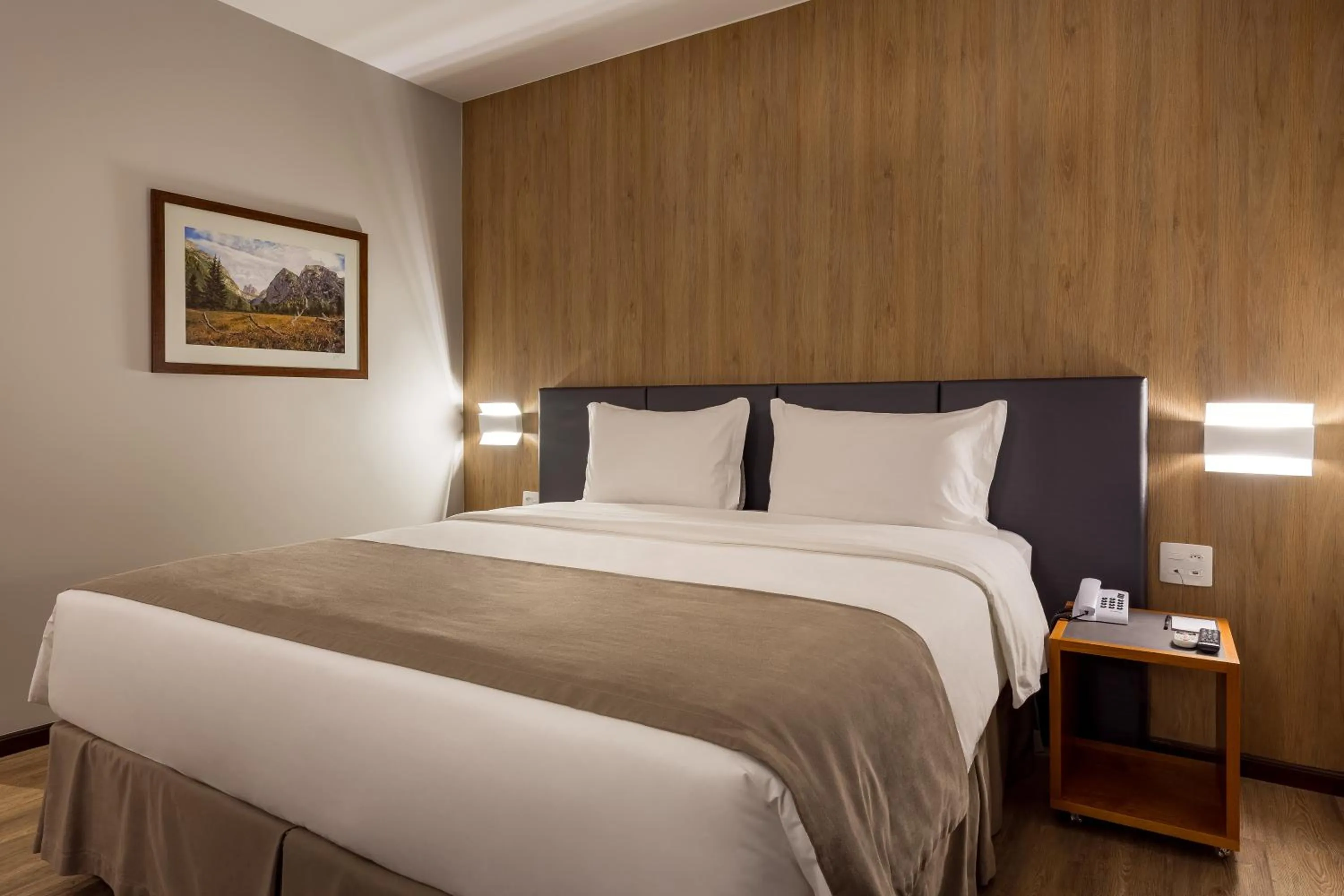 Superior Double or Twin Room with City View - single occupancy in Monthez Hotel & Eventos