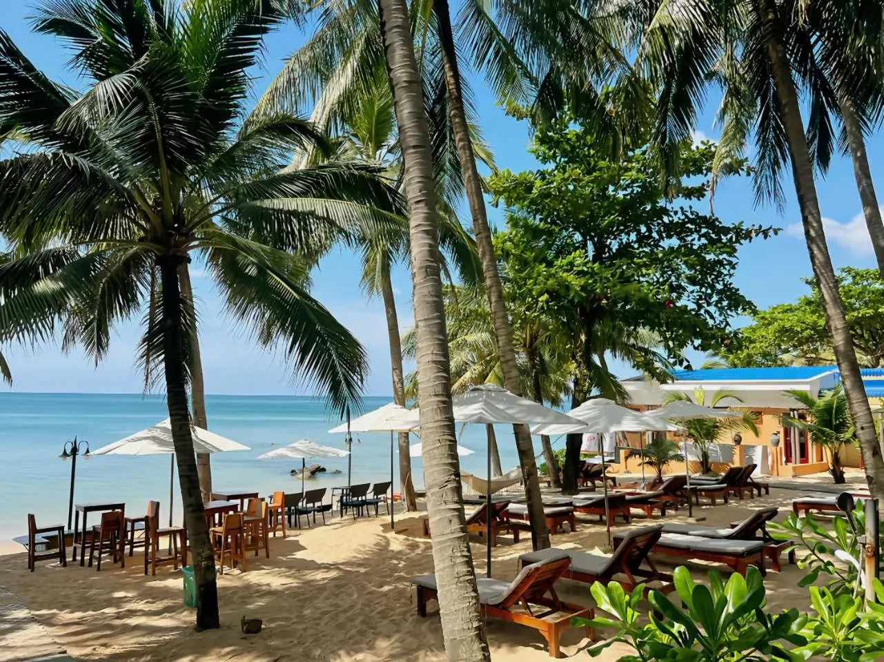 Deluxe Suite with Sea View in Vida Loca Sunset Beach Resort