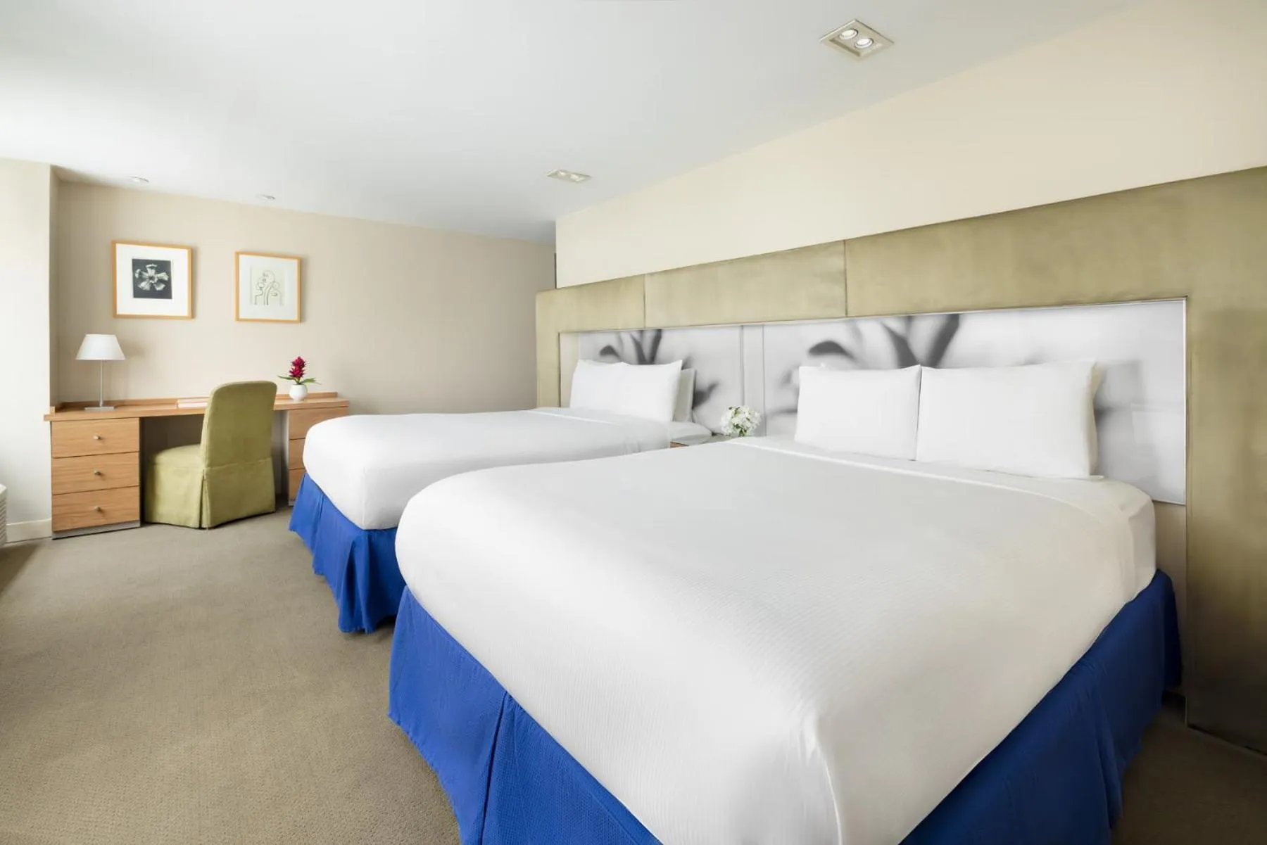 Deluxe Queen Room with Two Queen Beds in The Shoreham