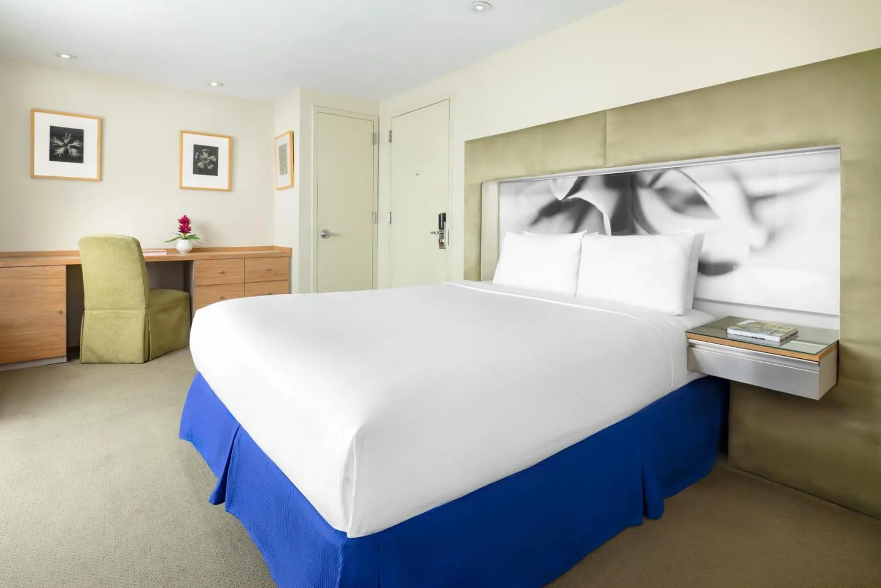 Standard Queen Room in The Shoreham