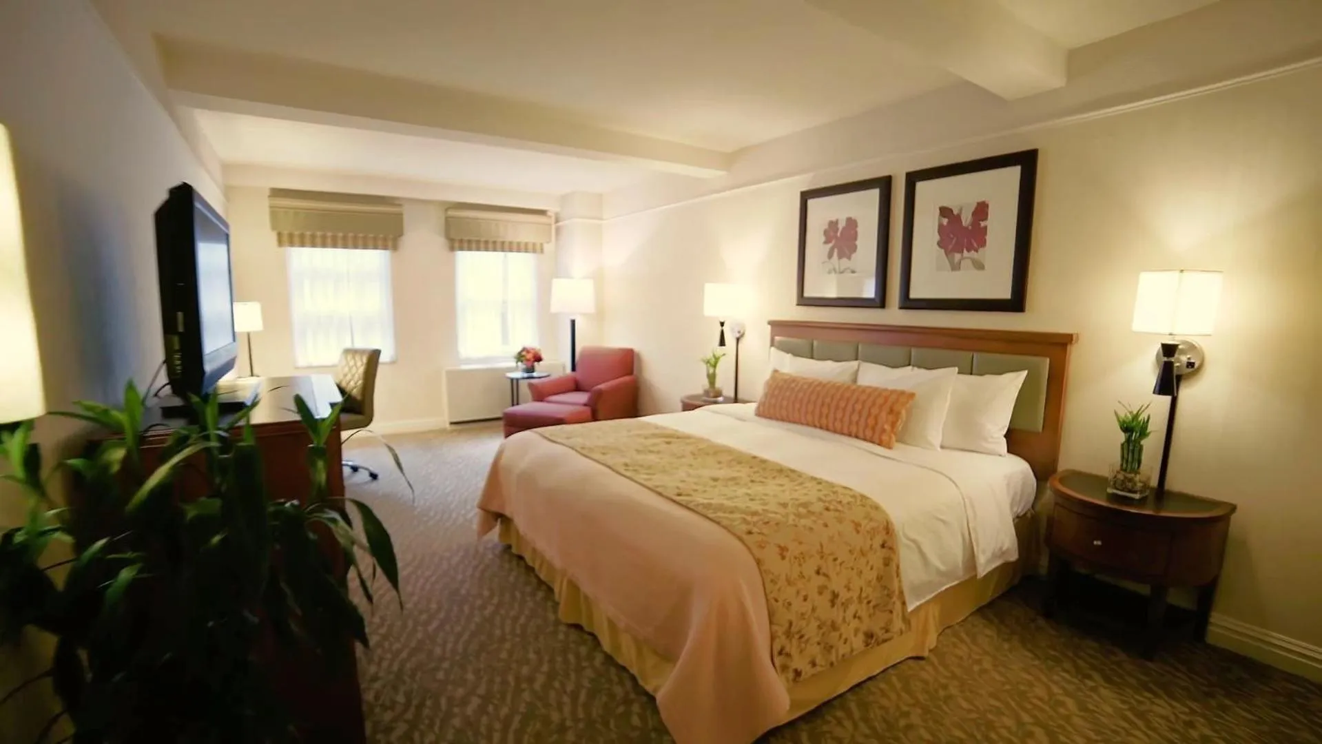 Deluxe Room - King in San Carlos Hotel New York