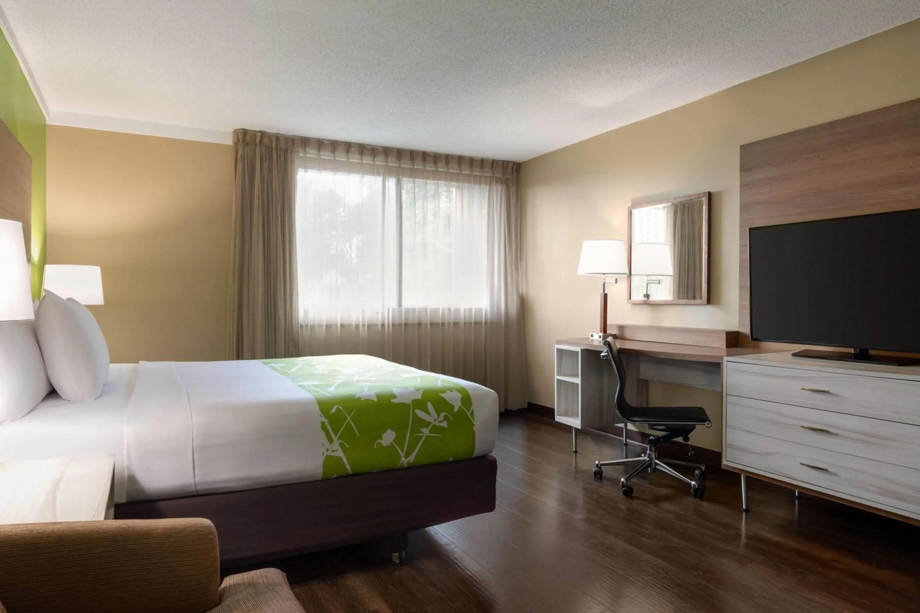 Executive King Room in Wyndham Garden Washington DC North