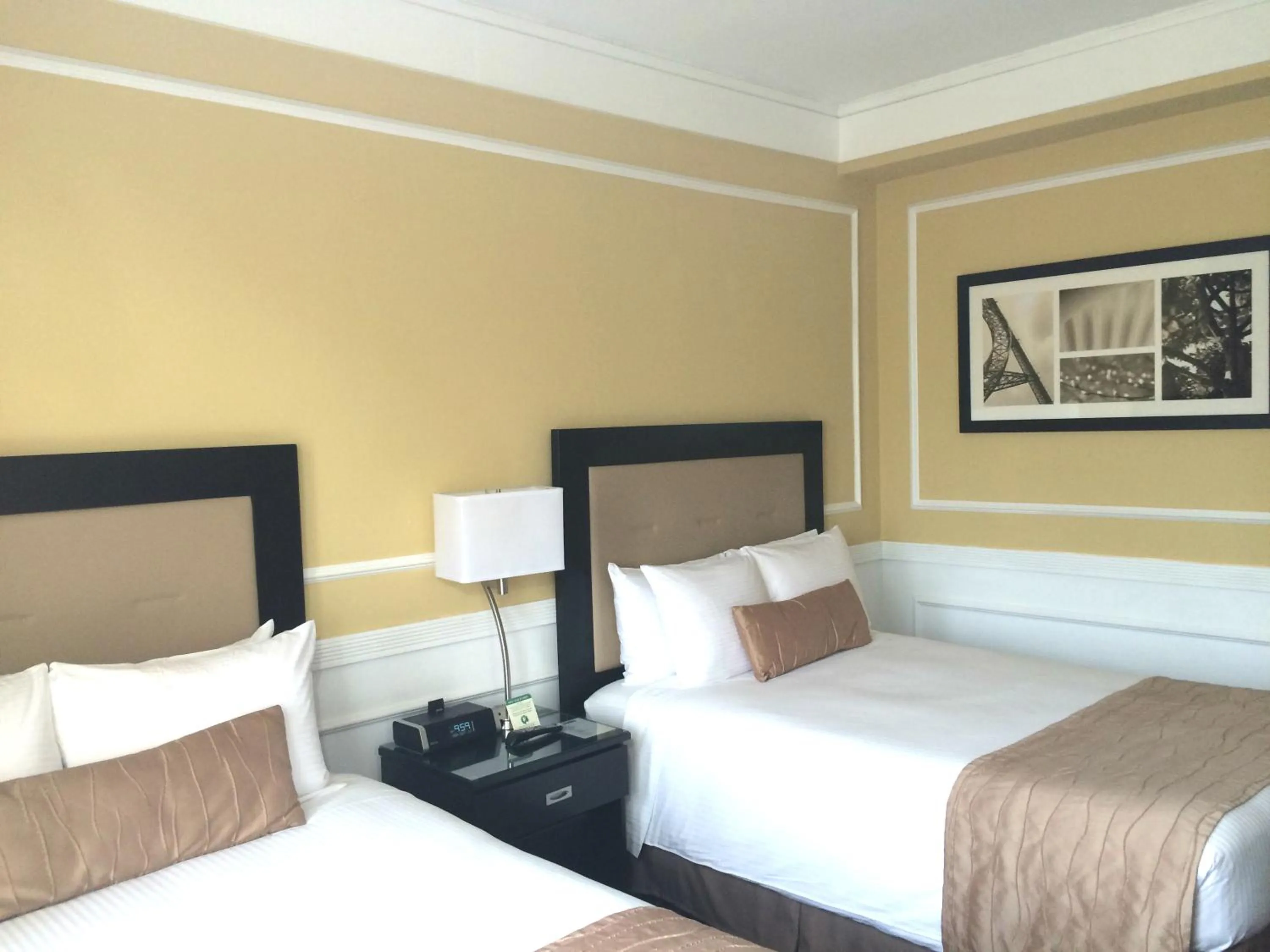 Superior Double Room with Two Double Beds in The Pickwick Hotel San Francisco
