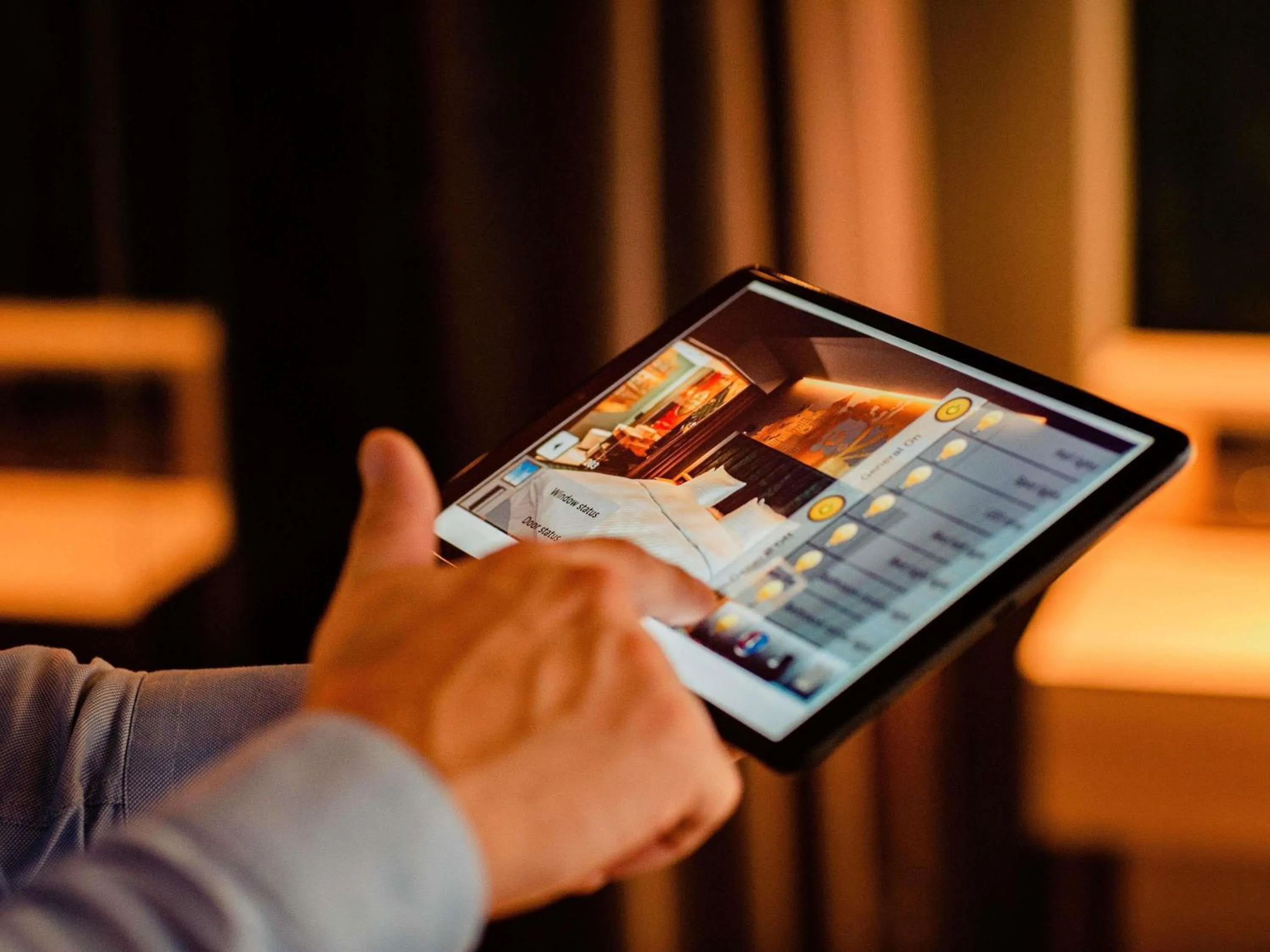 Privilege King Room with Terrace in Mercure Timisoara