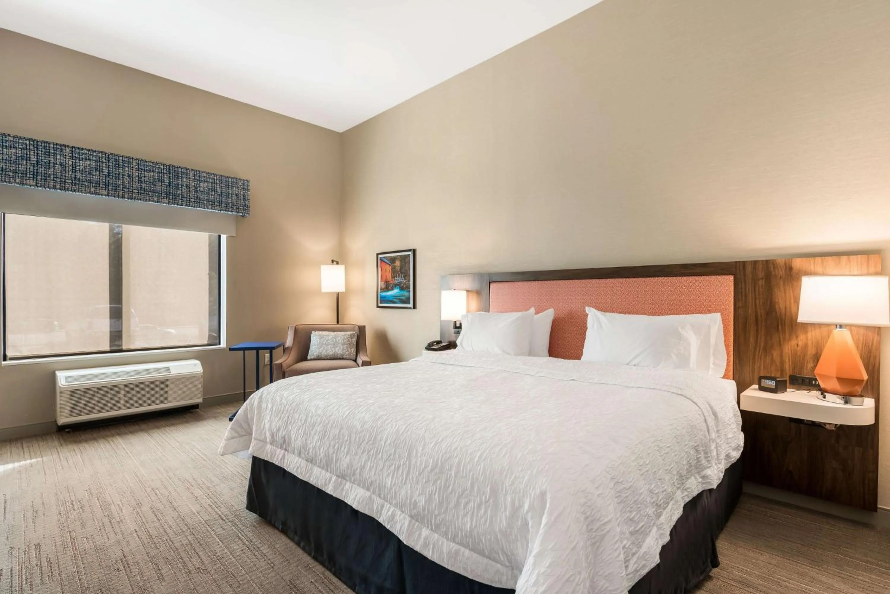 King Room with Accessible Tub - Mobility and Hearing Access/Non-Smoking in Hampton Inn Batesville, Ar