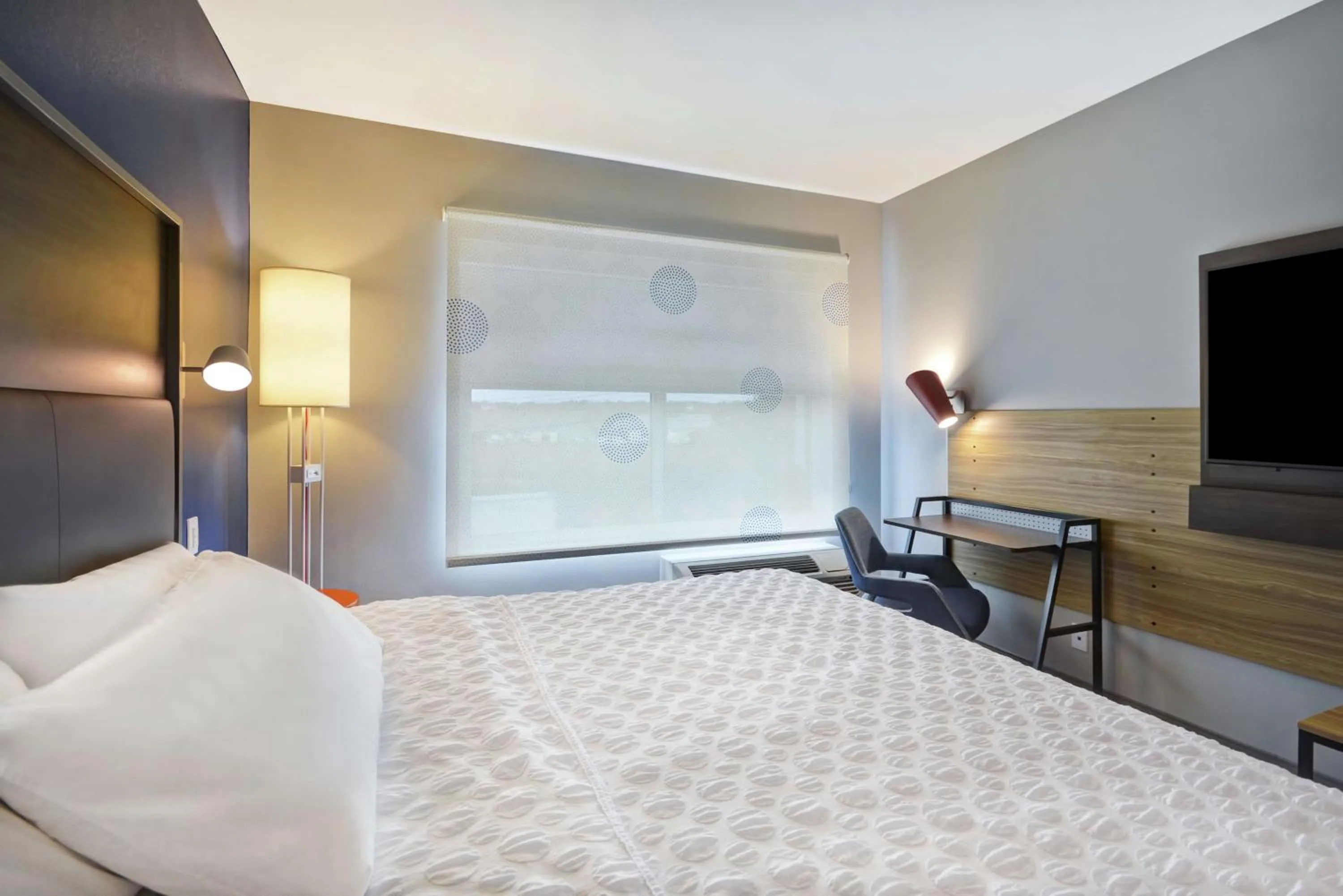 King Room in Tru By Hilton Winchester, Va