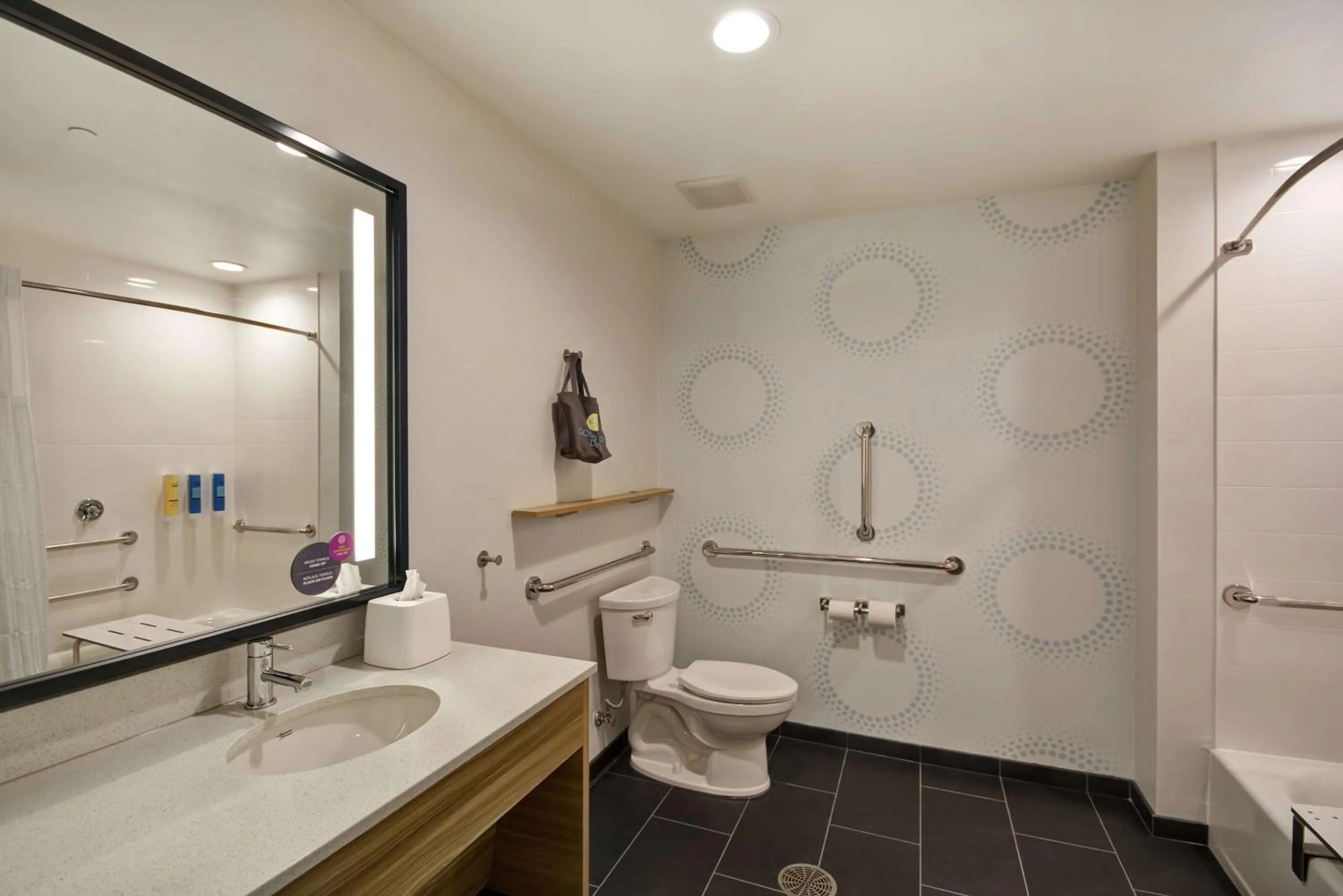 King Room - Hearing Access in Tru By Hilton Winchester, Va