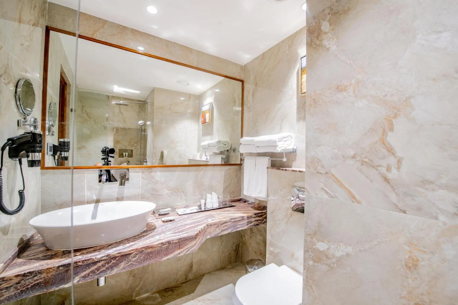 Executive Suite - single occupancy in Best Western La Vista Pathankot