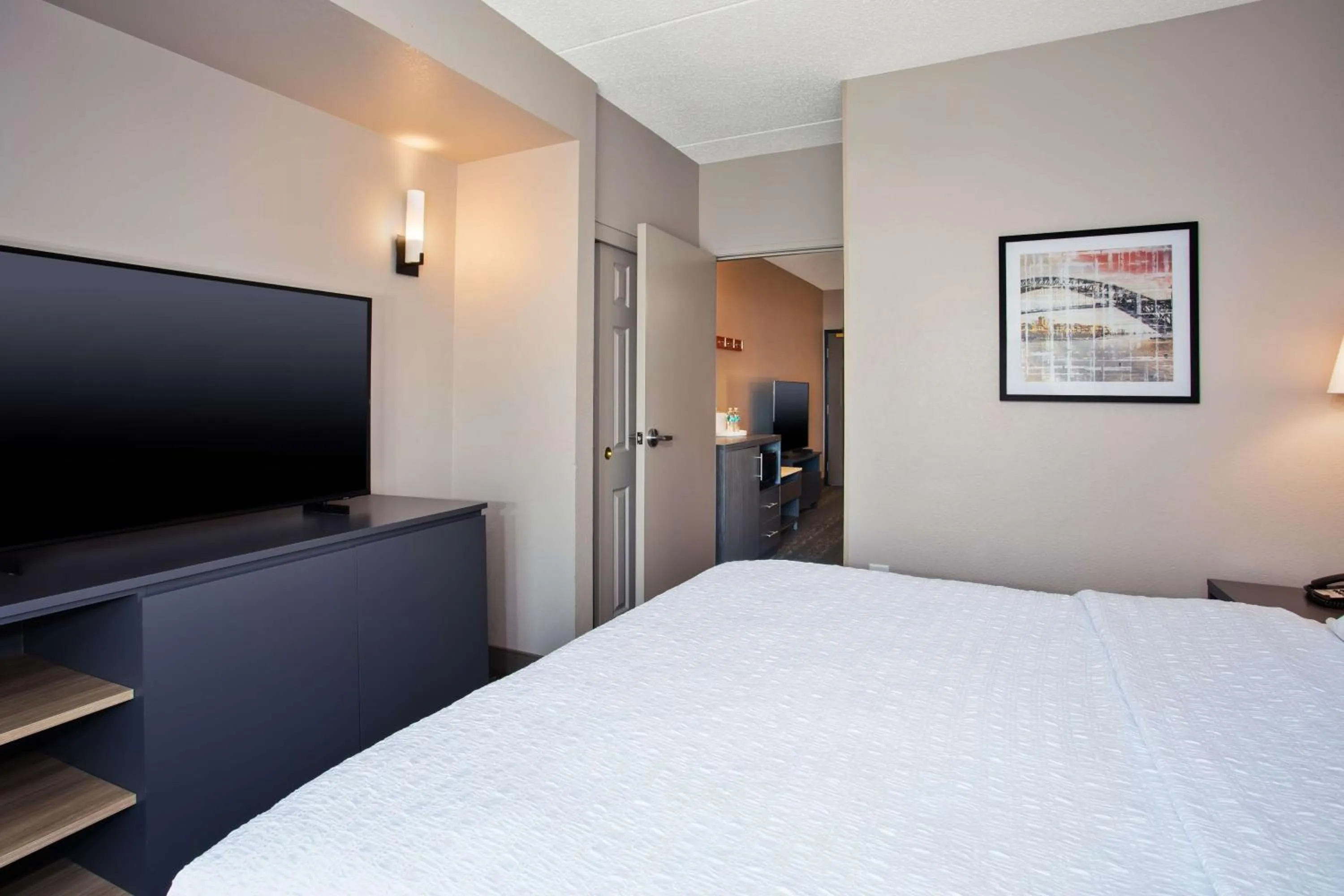 King Suite in Hampton Inn & Suites By Hilton- Newark Airport Elizabeth