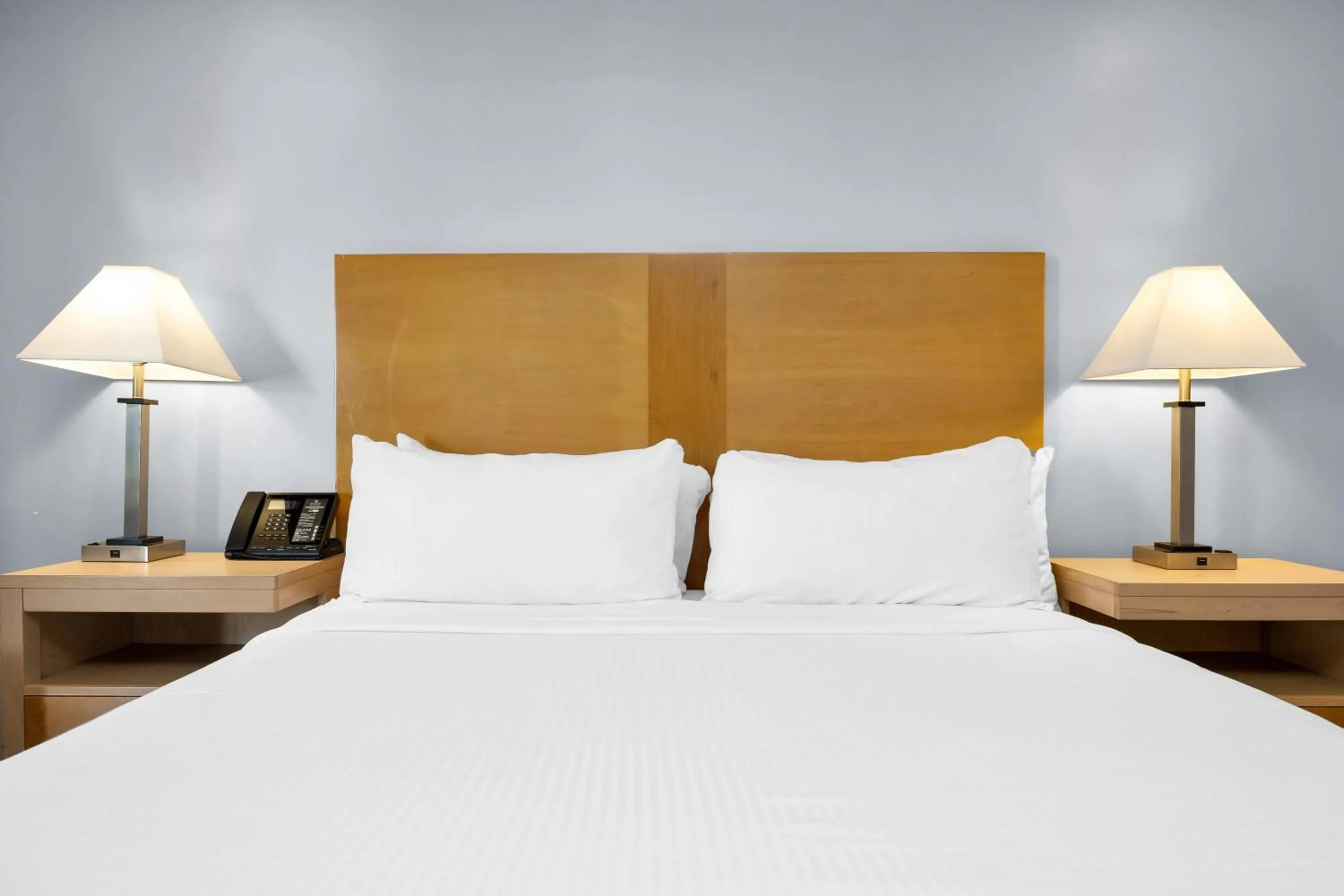 Deluxe King Suite in The Millwood